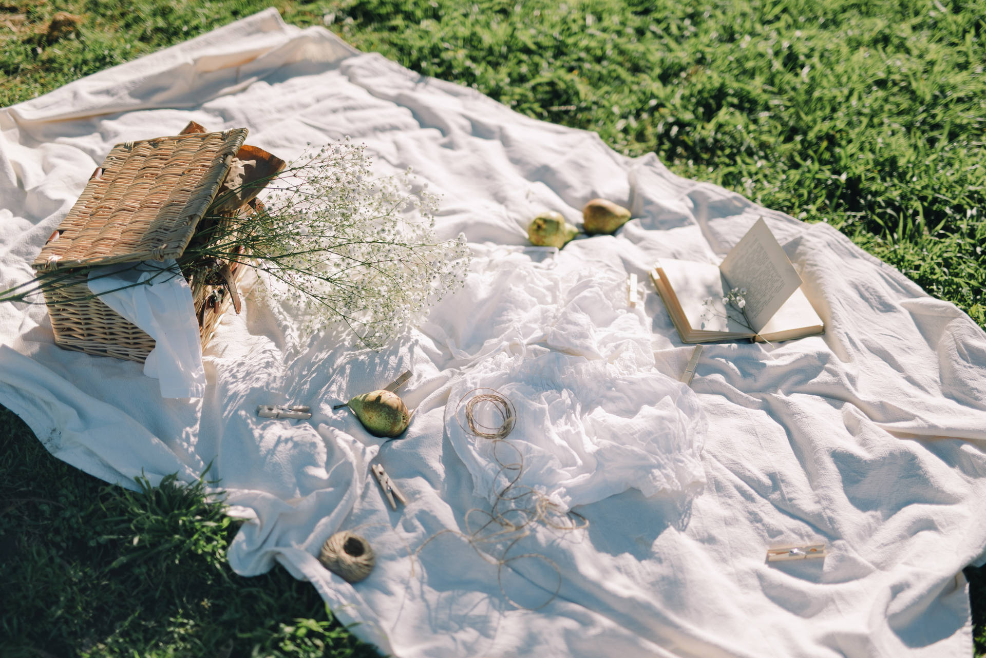 Picnic Aesthetic Book Desktop