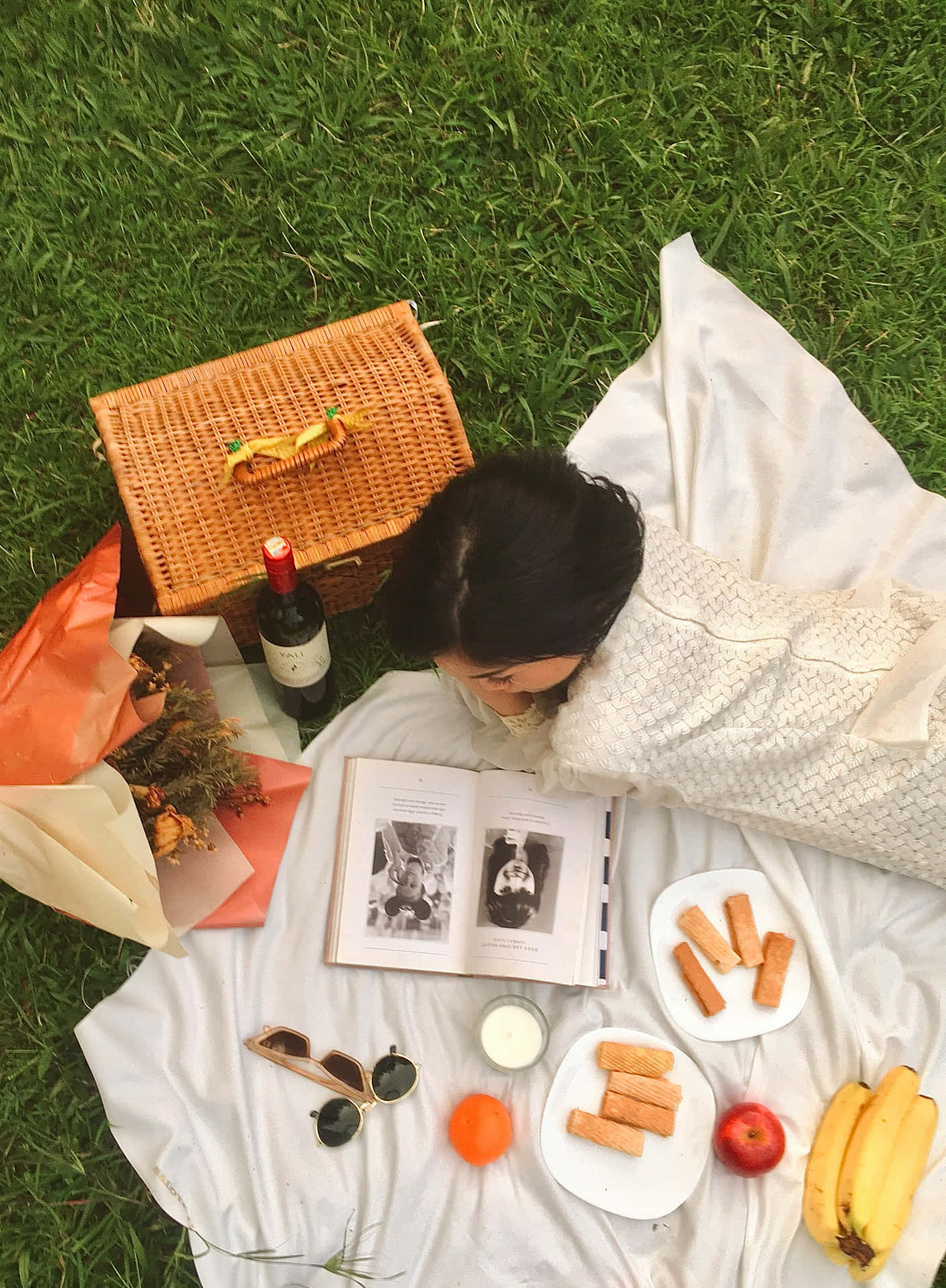 Picnic Scene Overhead View Background