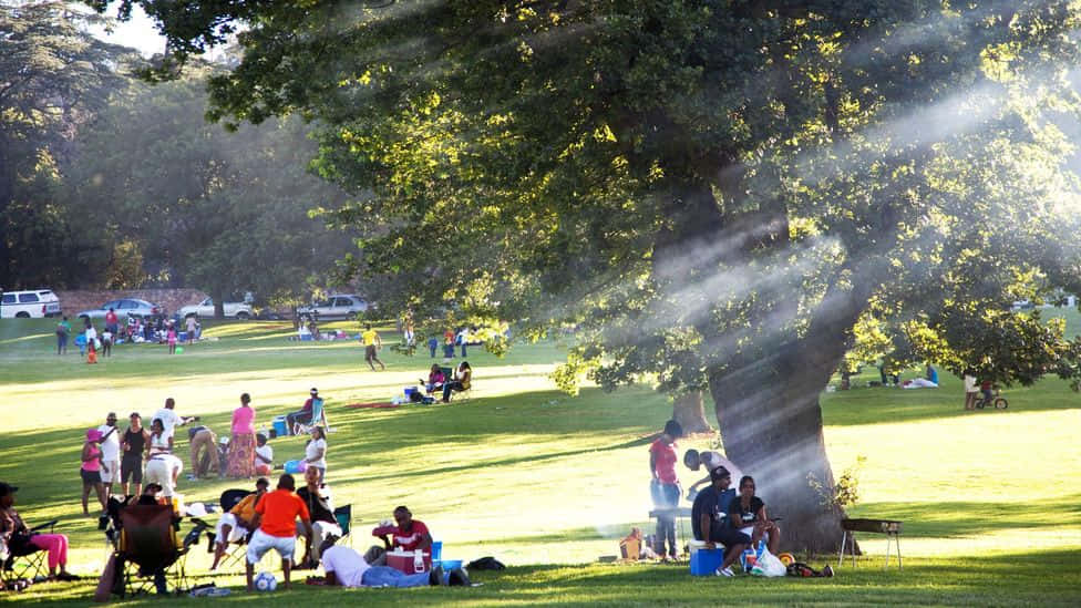 Picnic Under The Sunny Sky