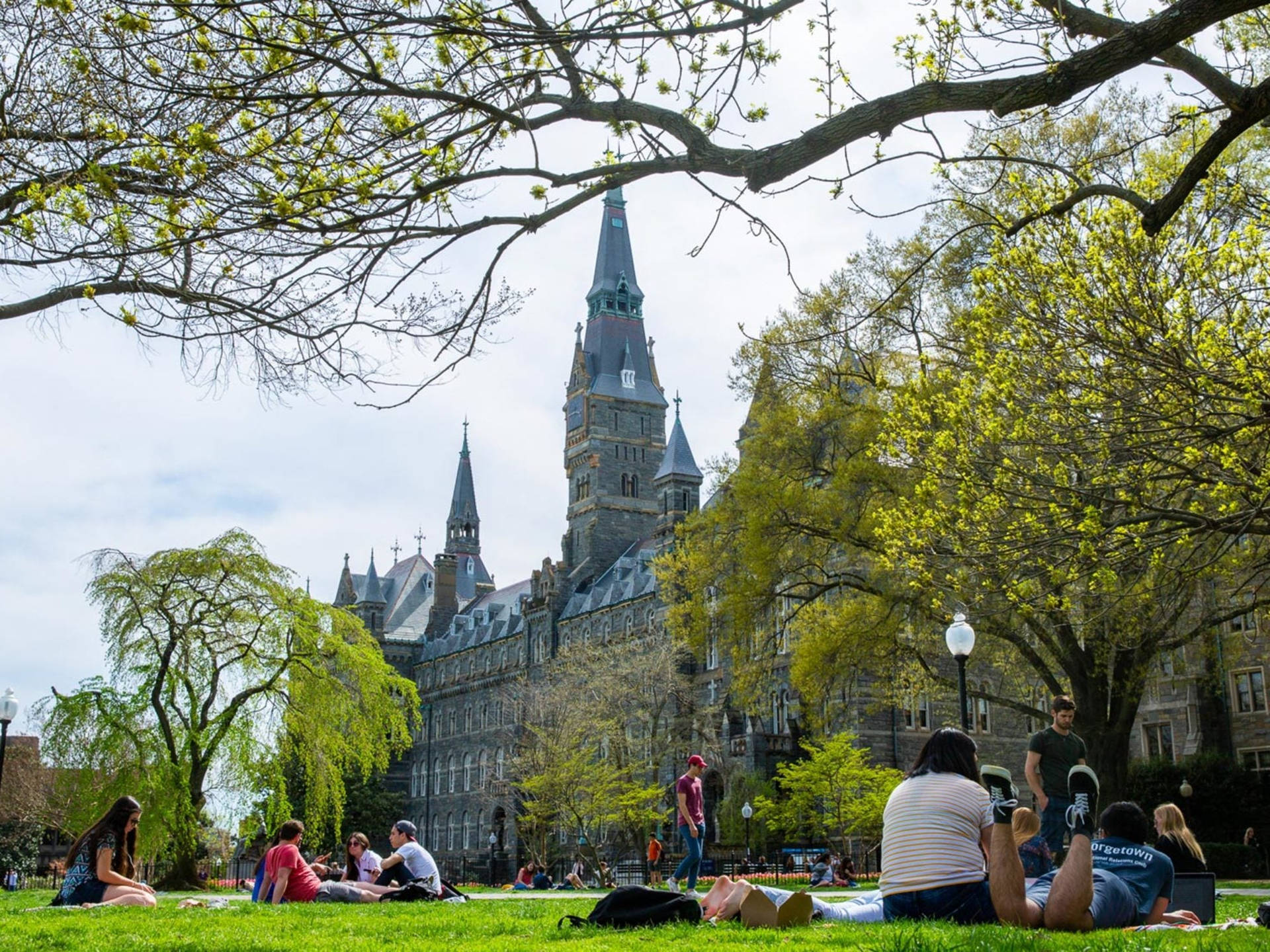 Picnicking In Georgetown University