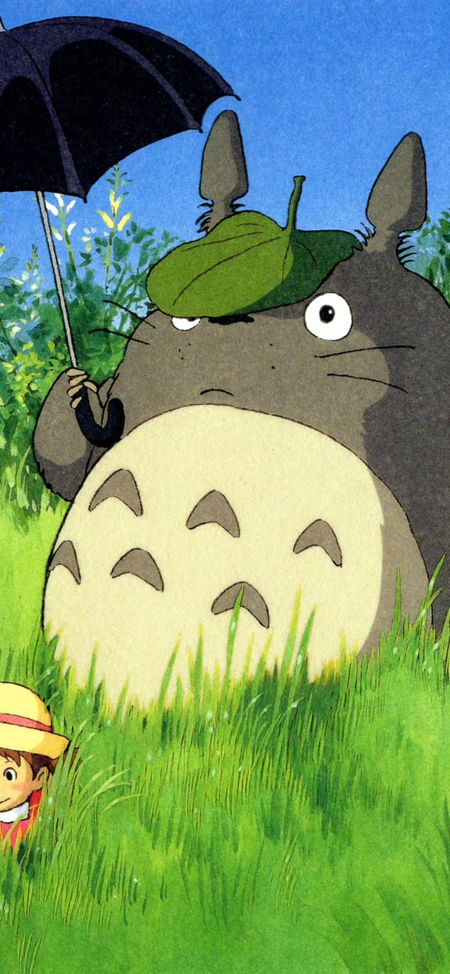 Picture Enjoy Classic Studio Ghibli Films On Your Phone Background