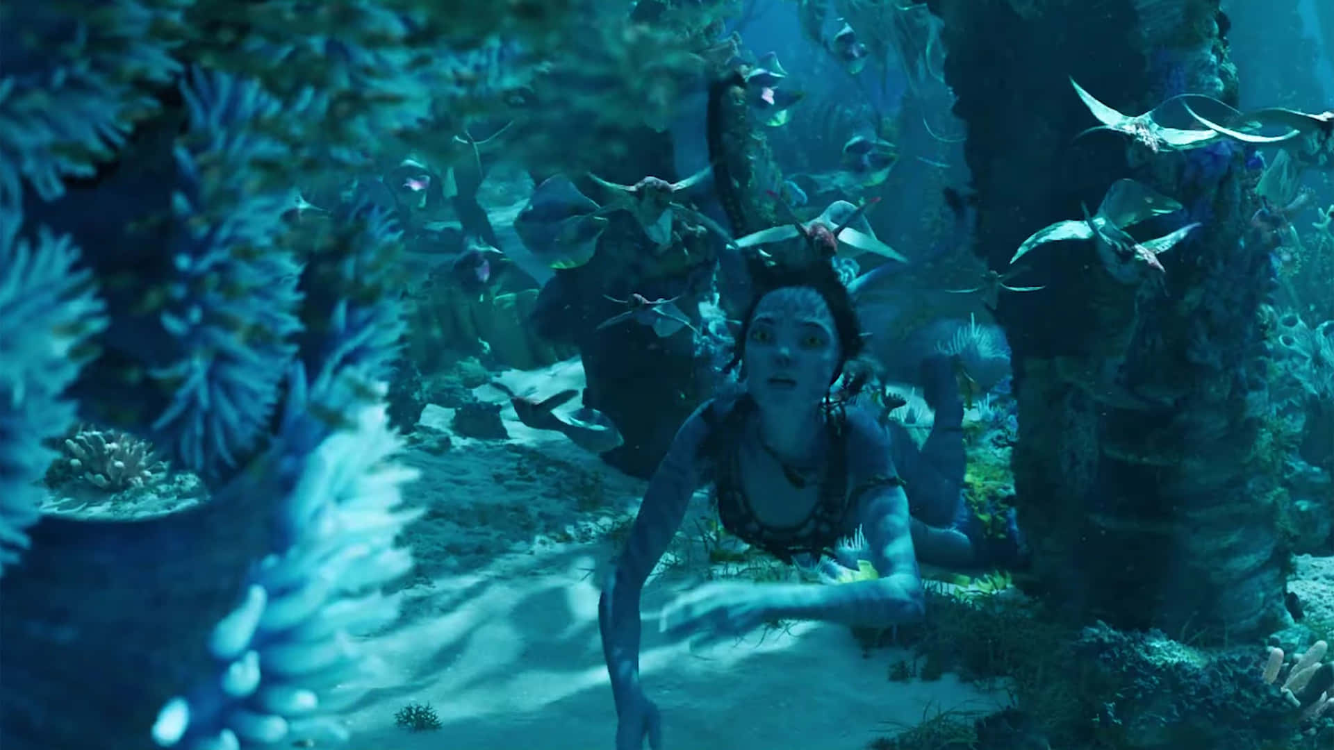 Picture Explore The World Of Pandora And The Omaticaya Clan In Avatar 2: The Way Of Water Background