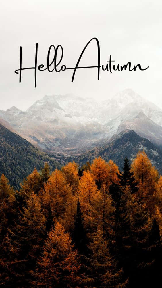 Picture Revel In The Colors Of Autumn