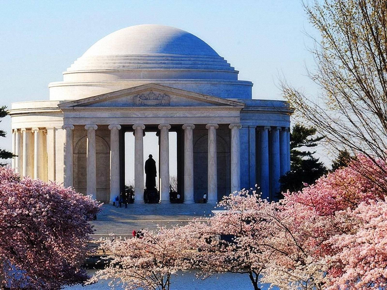 Picturesque Jefferson Memorial Framed By Blossoming Cherry Trees