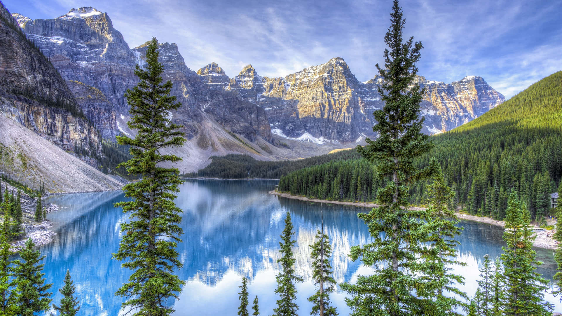 Picturesque Landscape Of A Lush Meadow Background