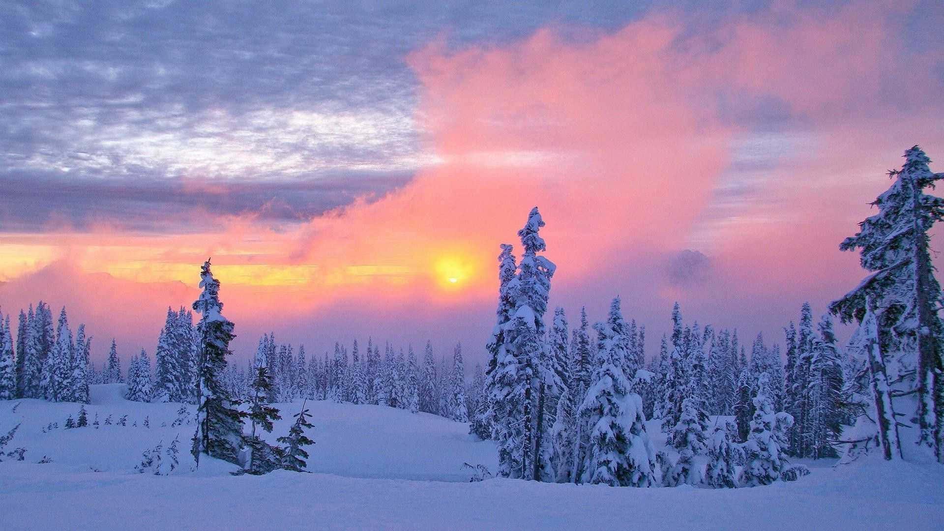 Picturesque Snow-covered Winter Landscape Background