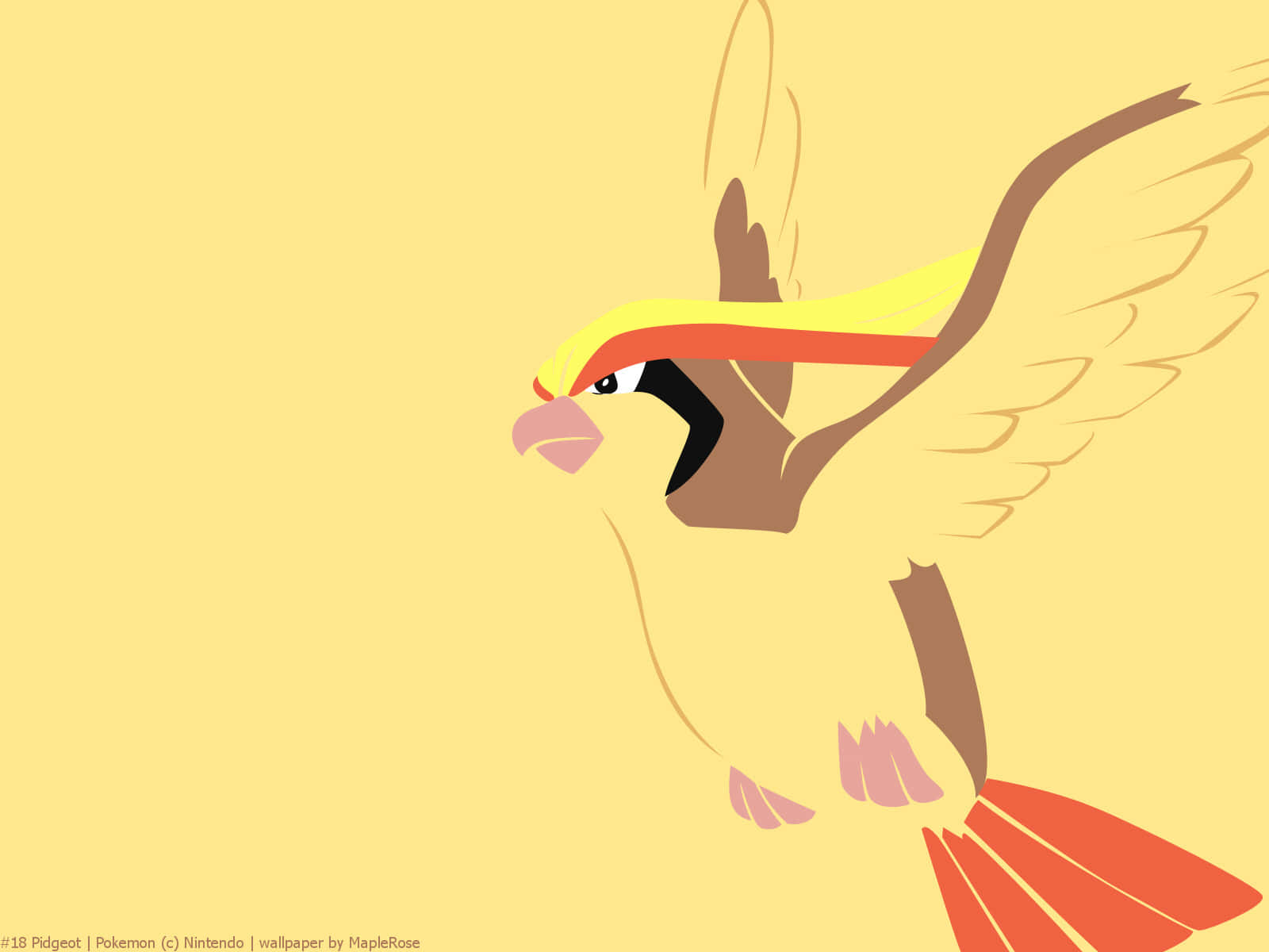 Pidgeotto Art Illustration Background