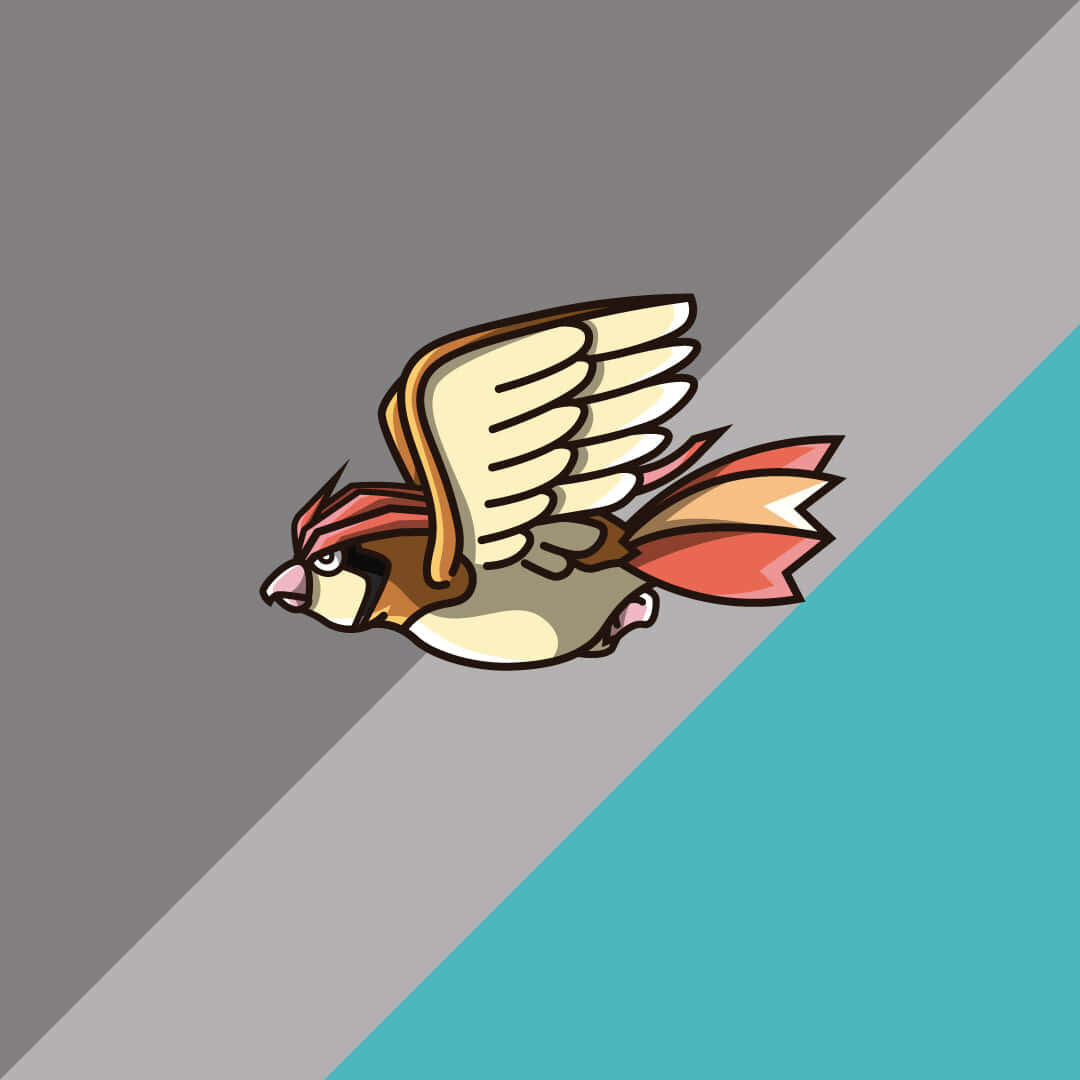 Pidgeotto Flying Gray Green Backdrop Background