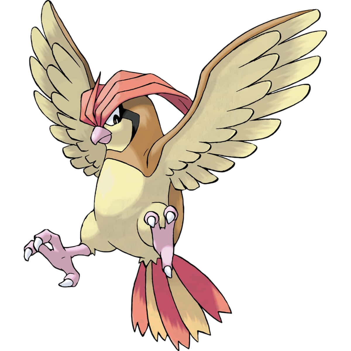 Pidgeotto Glaring Background