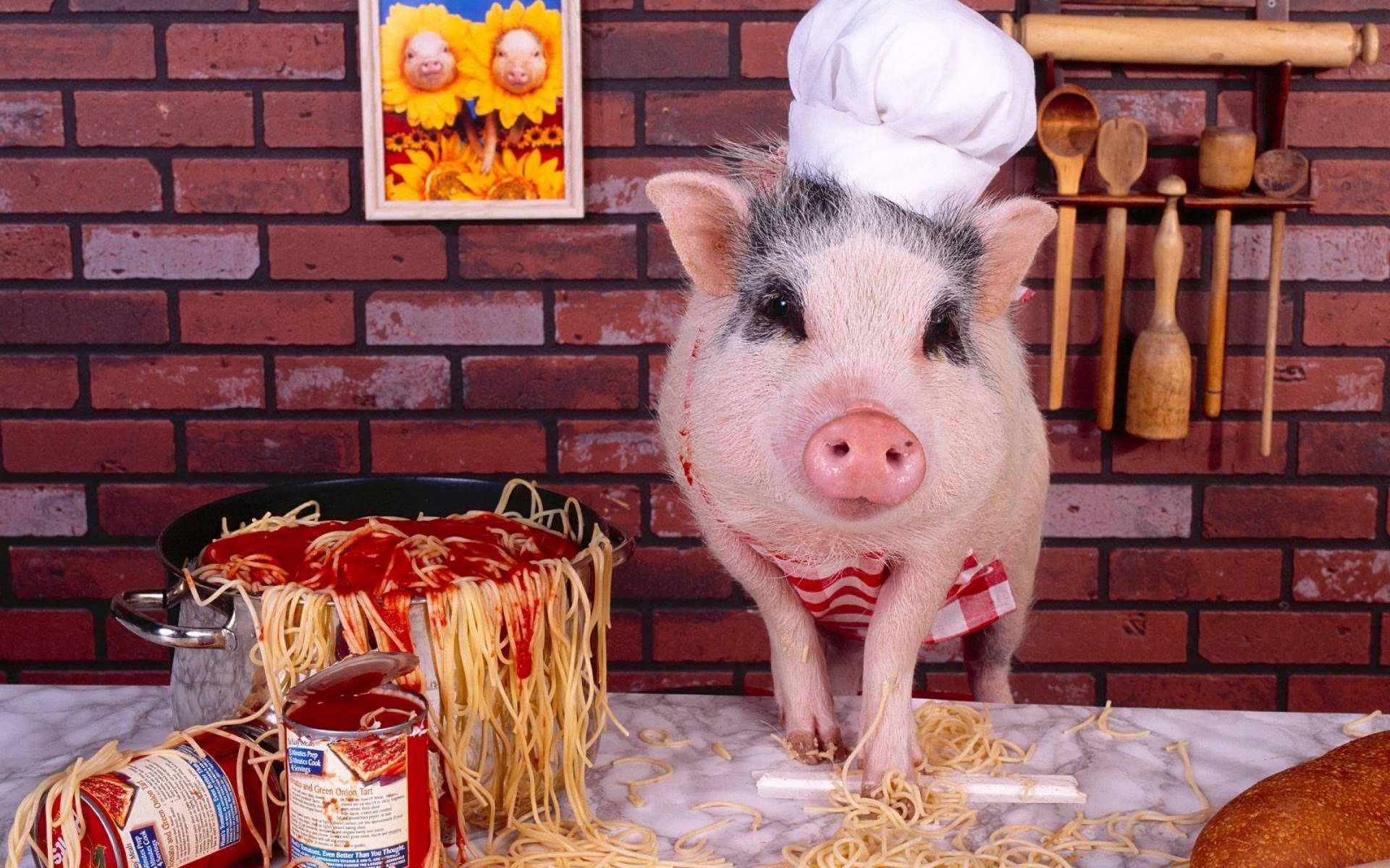 Pig Chef On Table Background