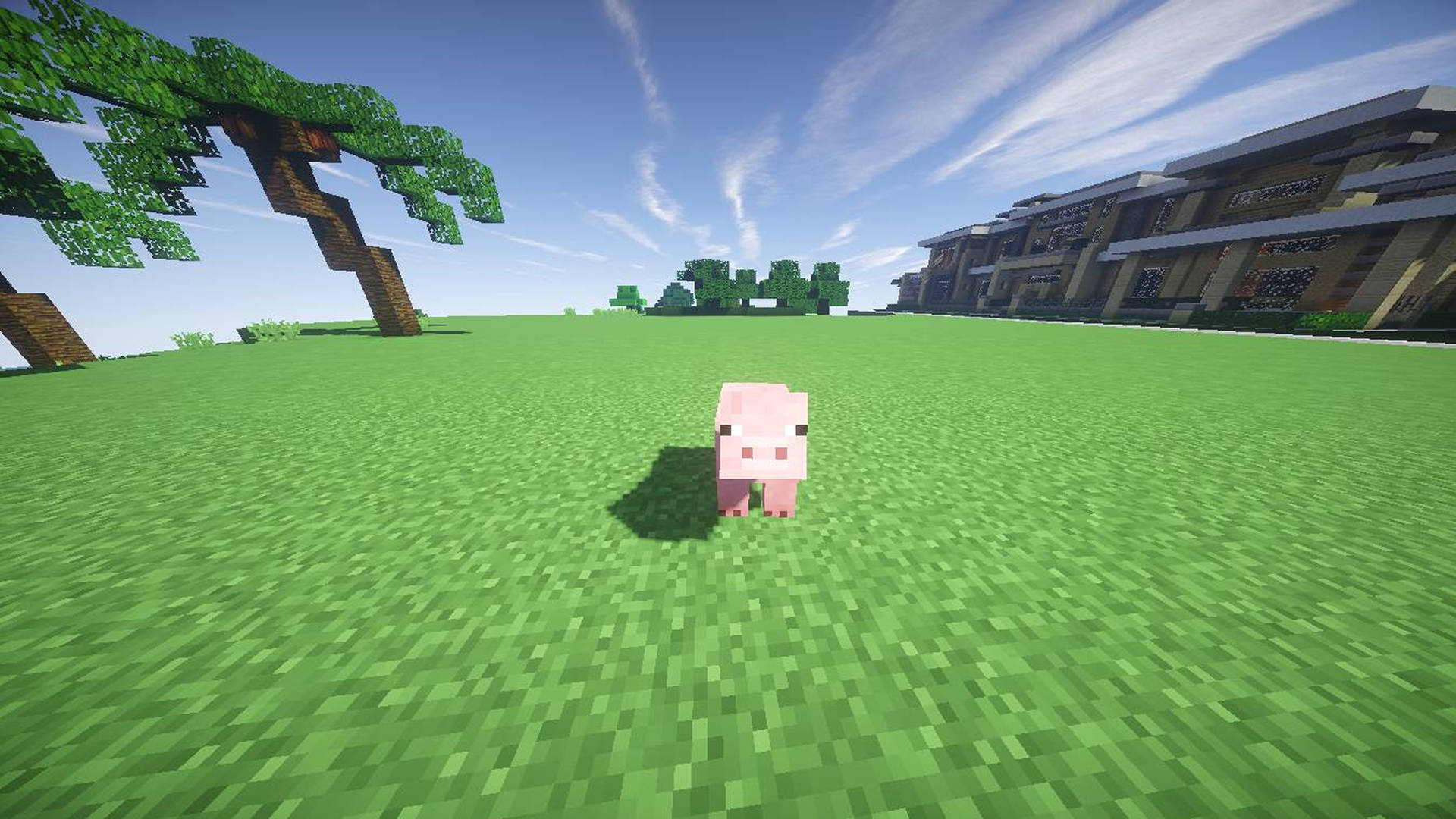 Pig In A Grassy Field 2560x1440 Minecraft Background