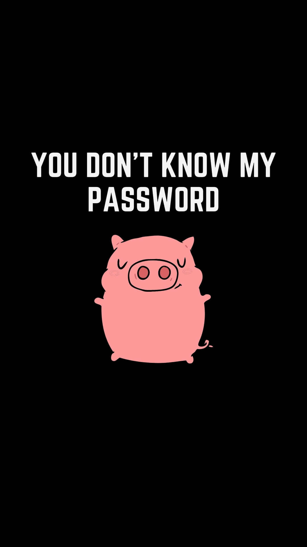 Pig Password Statement Wallpaper Background