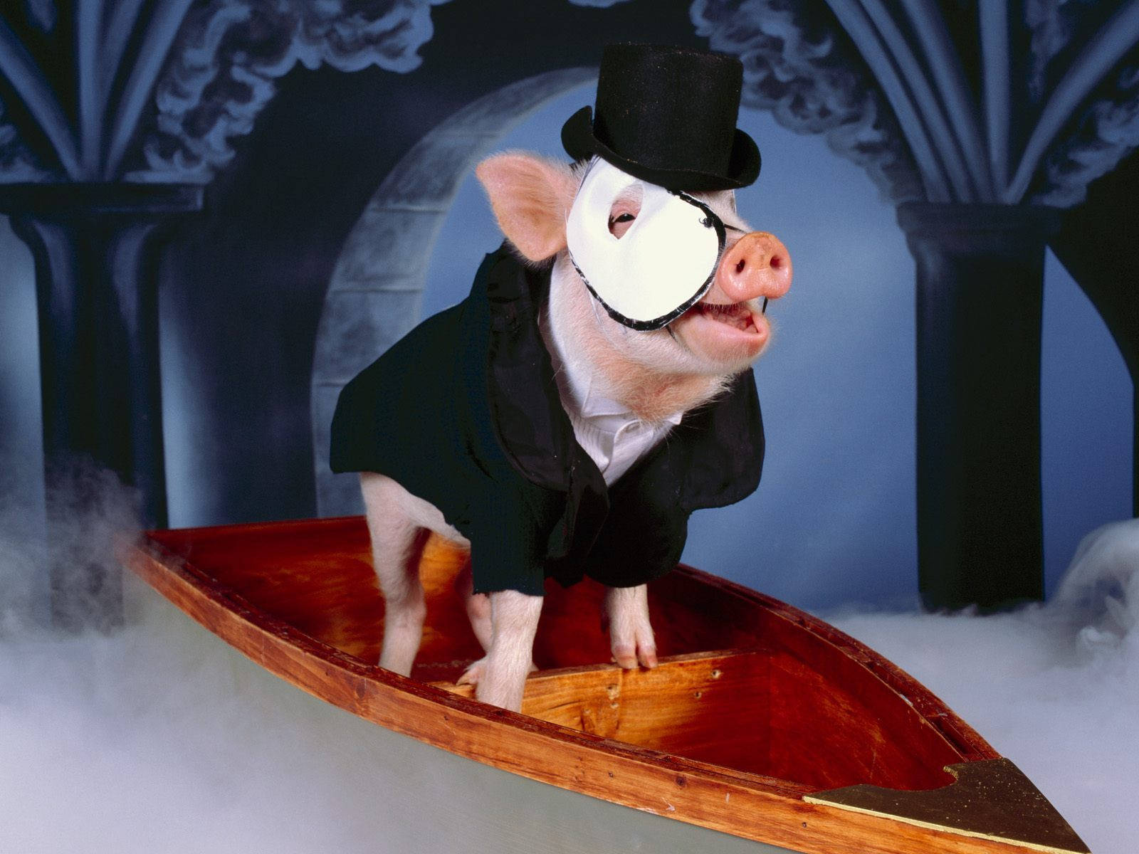 Pig Phantom Of The Opera Background