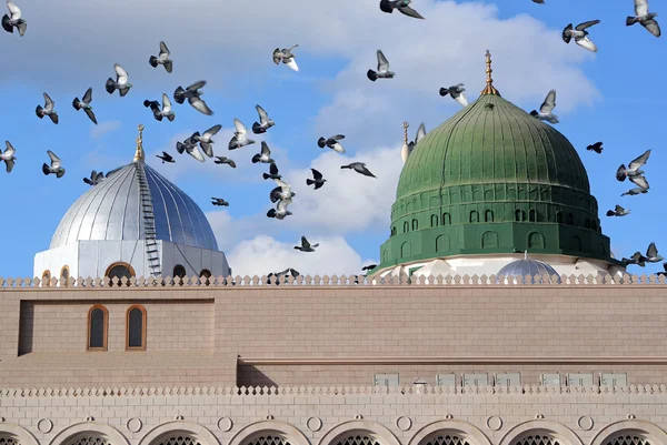 Pigeons Above Green Dome Madina Background