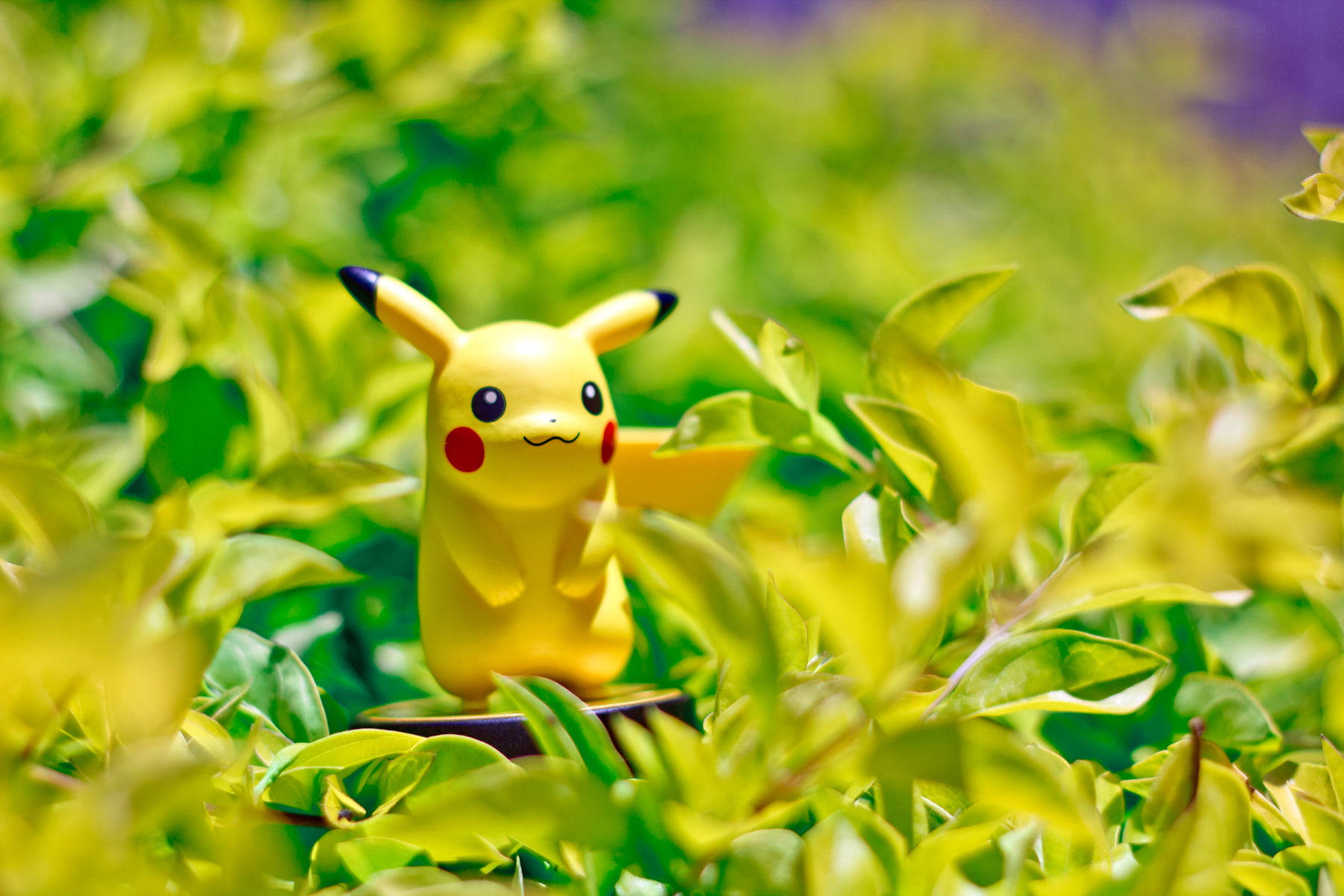 Pikachu 3d Pokémon On The Grass Background