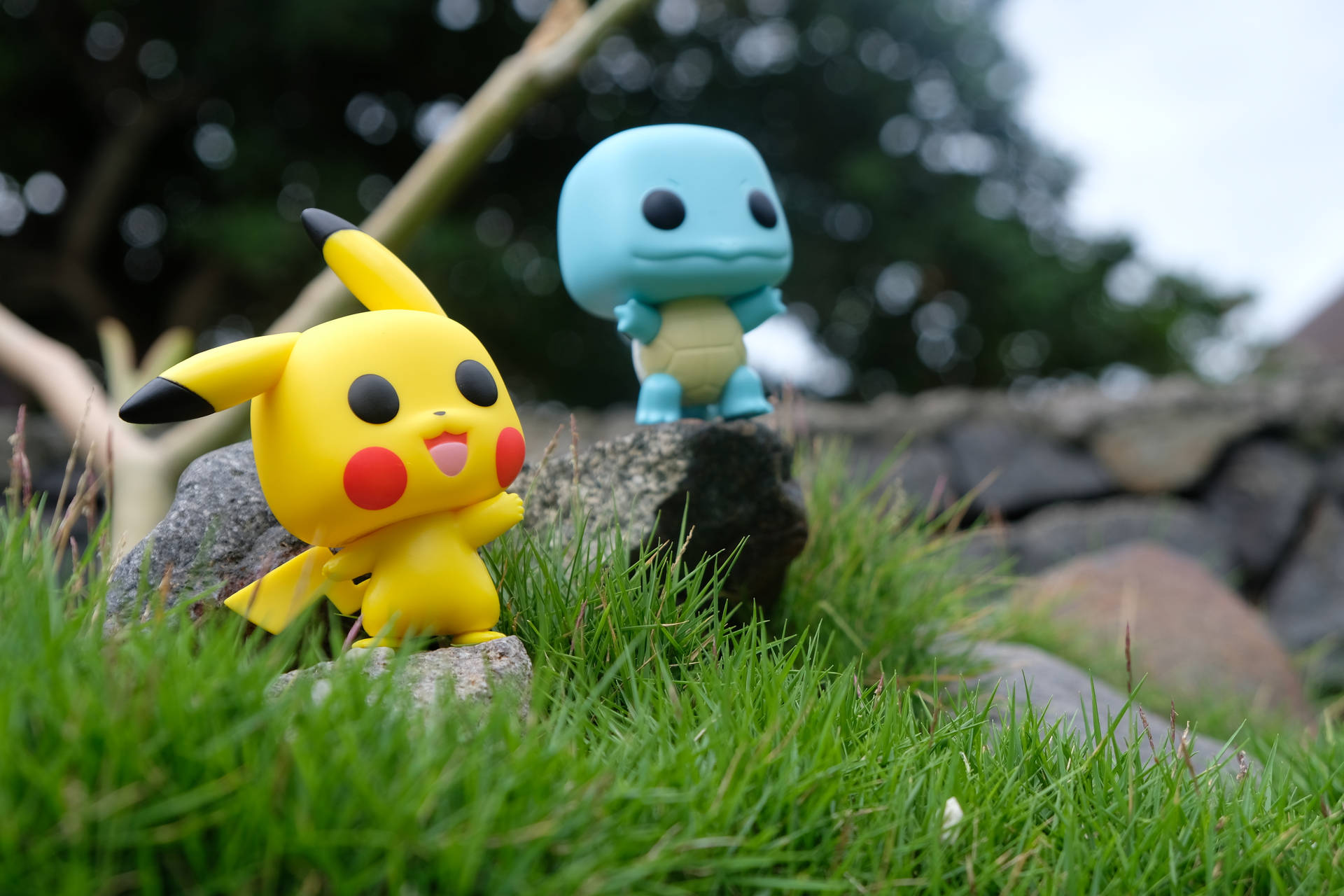 Pikachu And Squirtle Background