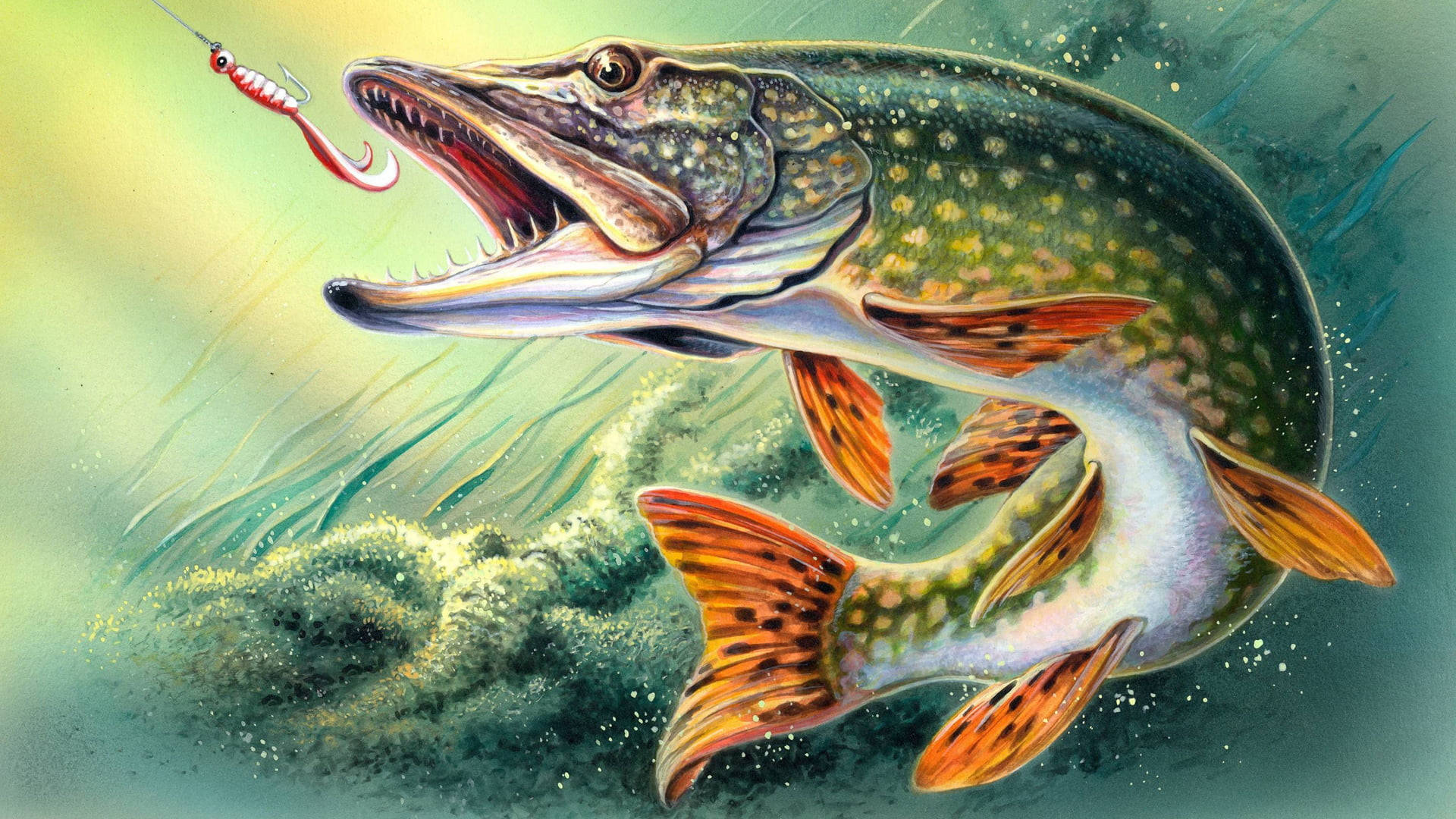 Pike Fish Bait Art