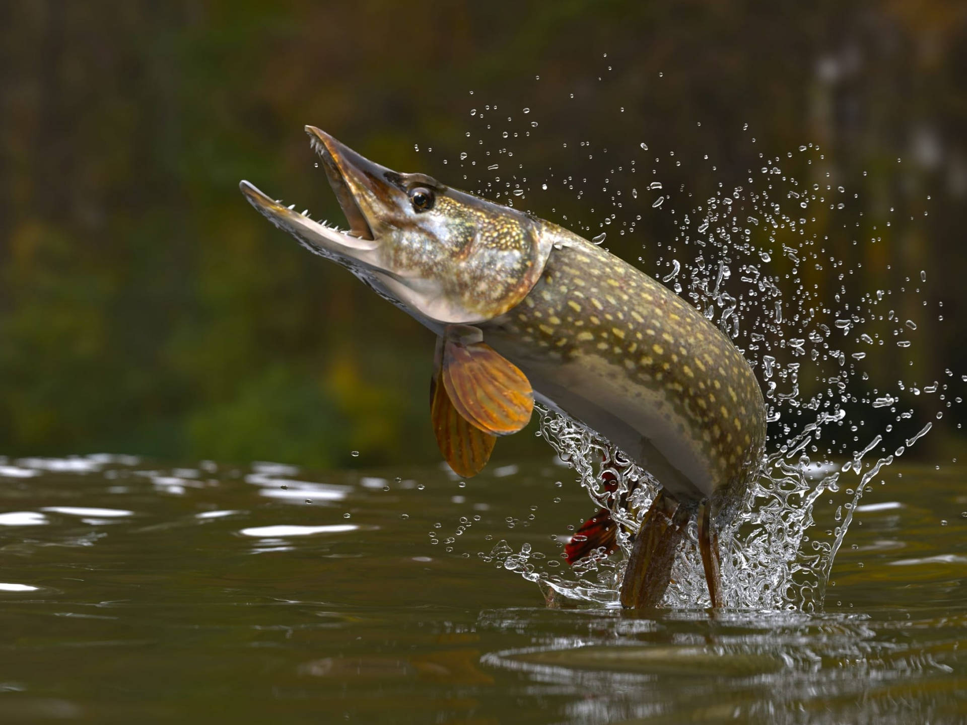 Pike Green River Background