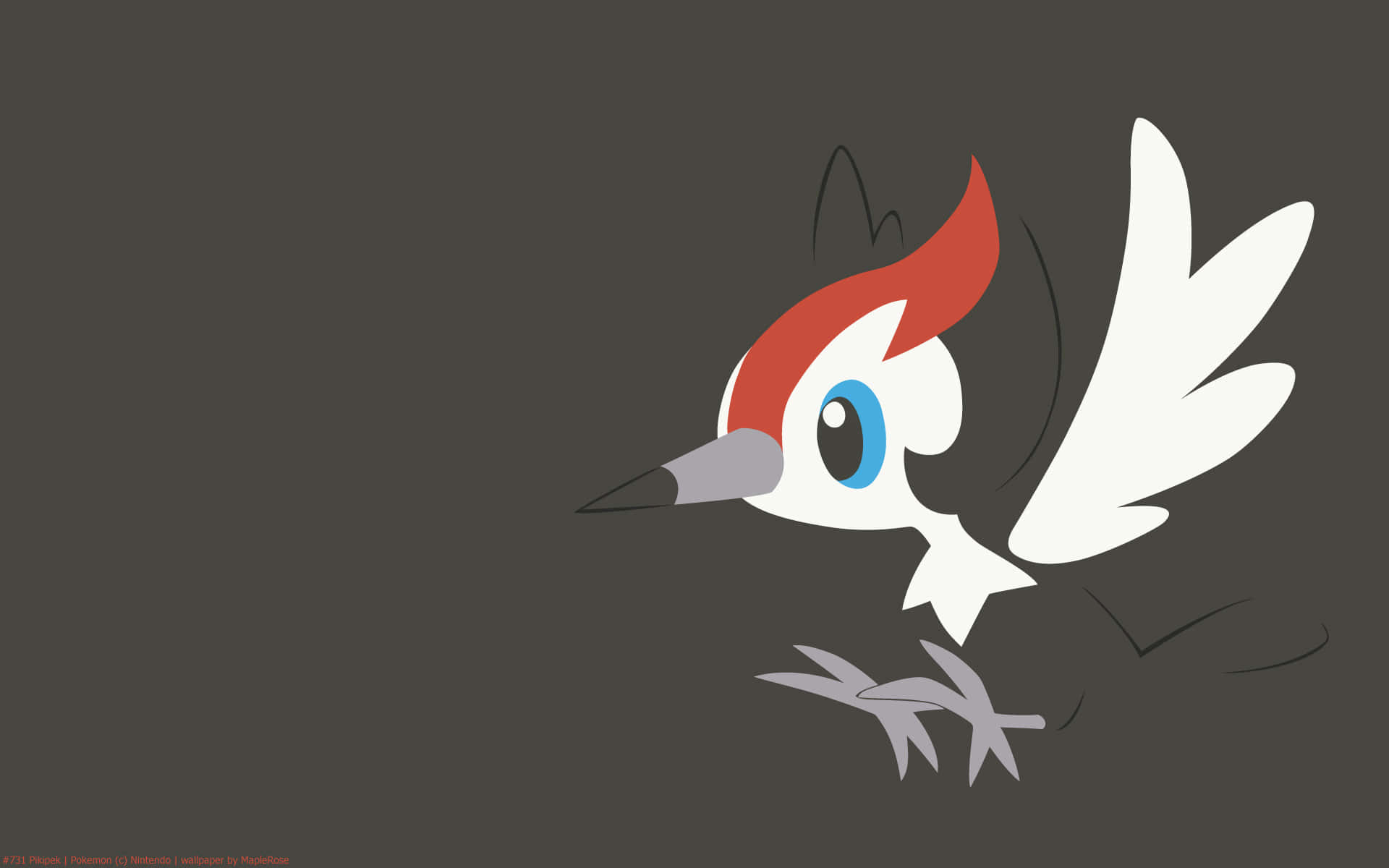 Pikipek Against Dark Background Background