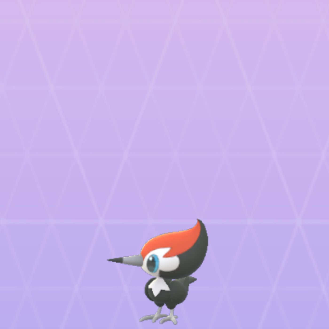 Pikipek Against Purple Background Background