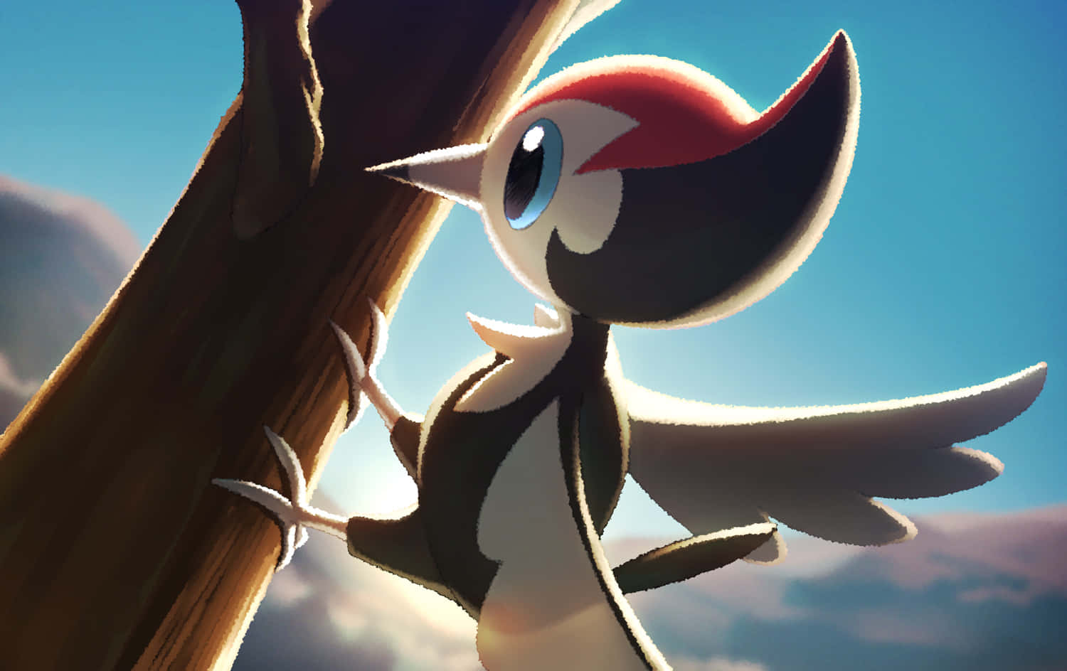 Pikipek Pecking During Sunrise Background
