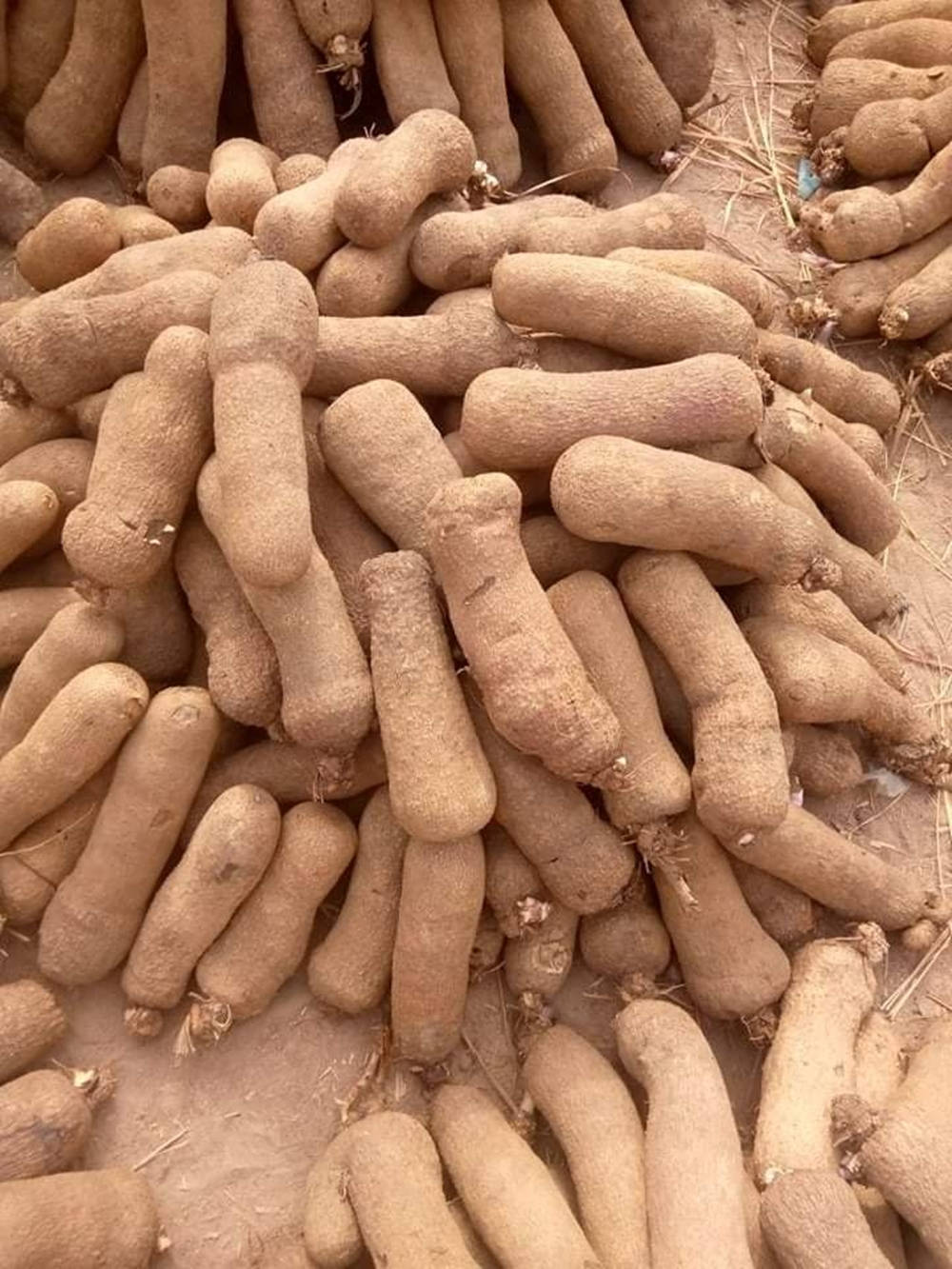 Pile Of Brown Yam Background