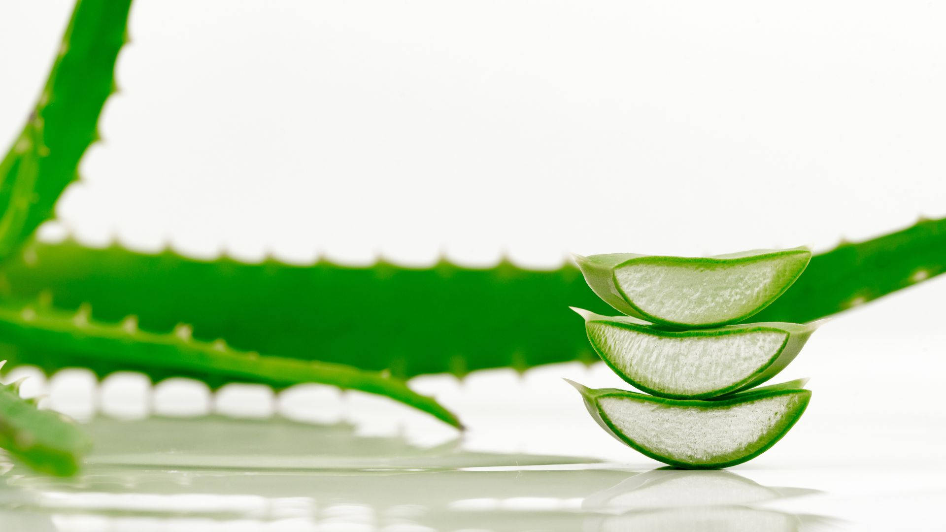 Pile Of Fresh Aloe Vera Background