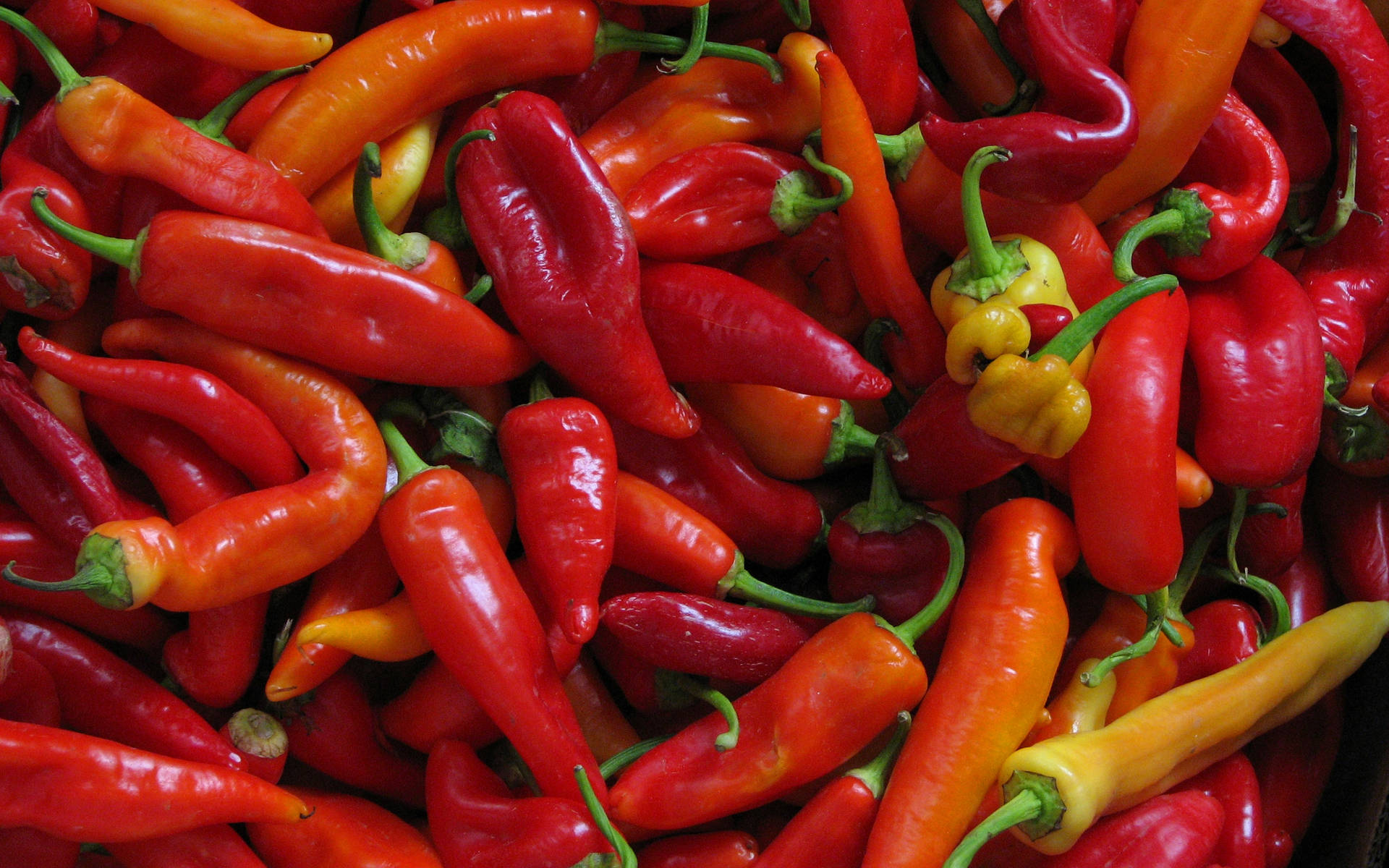 Pile Of Thin Chili Pepper Spices