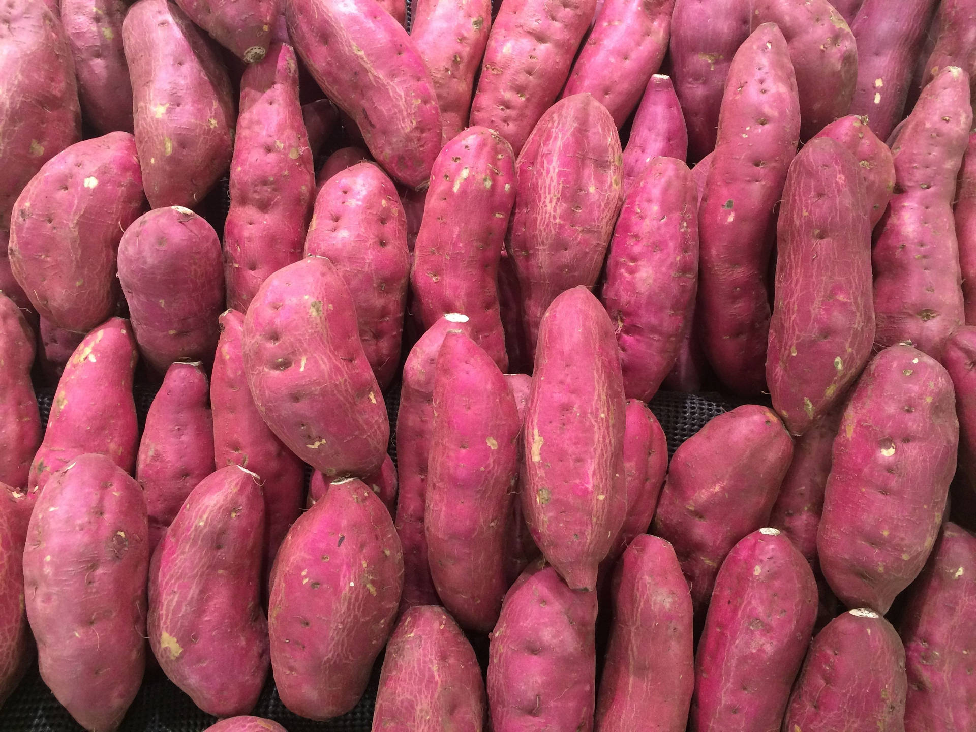 Pile Sweet Potato Background