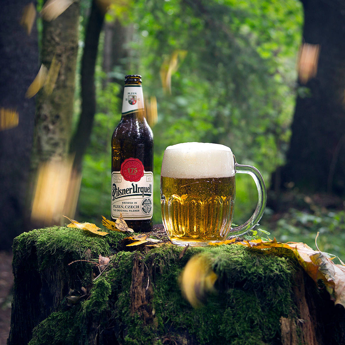 Pilsner Urquell Forest Background