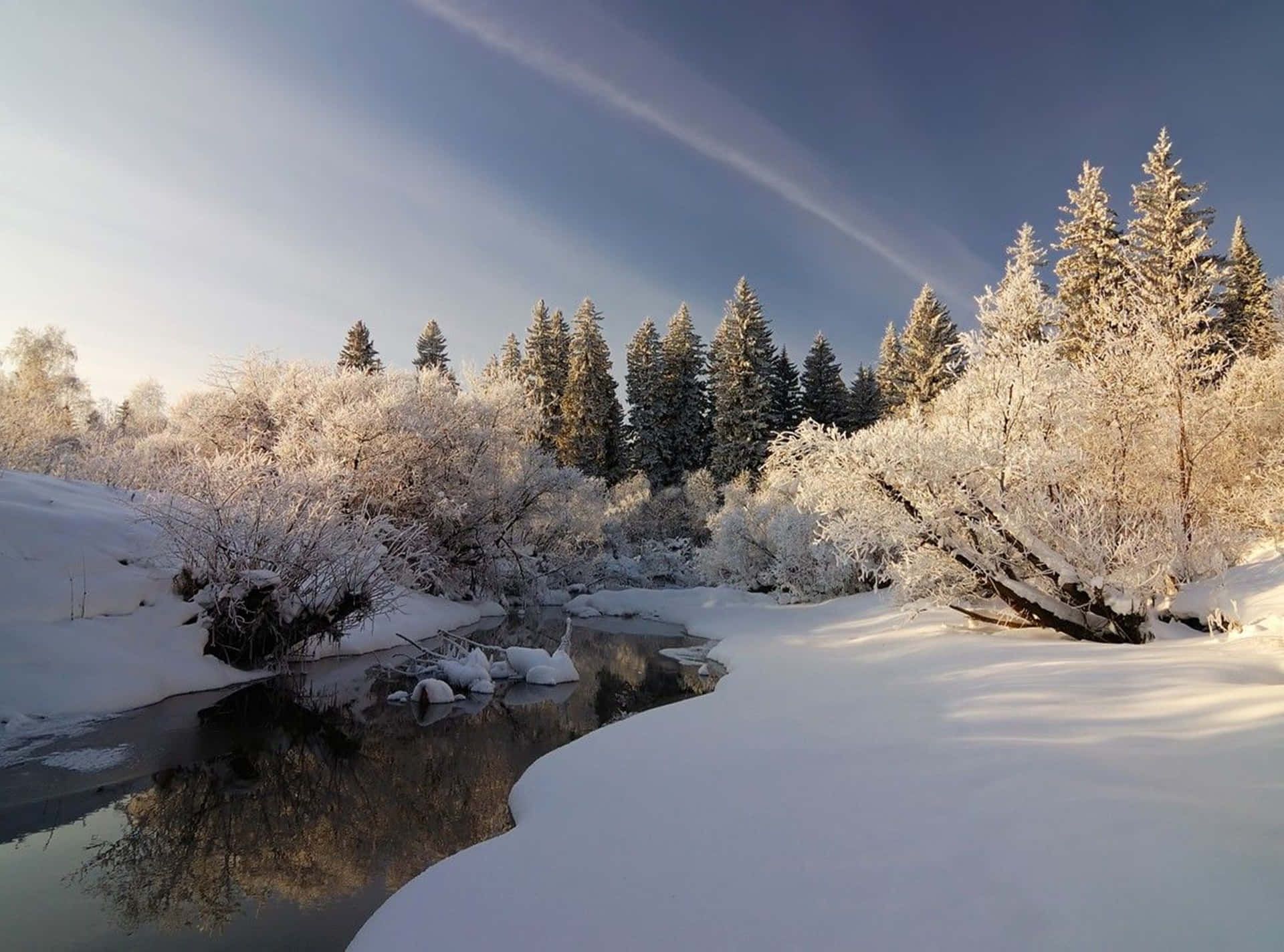 Pine Forest Covered In Snow 4k With A Frozen River