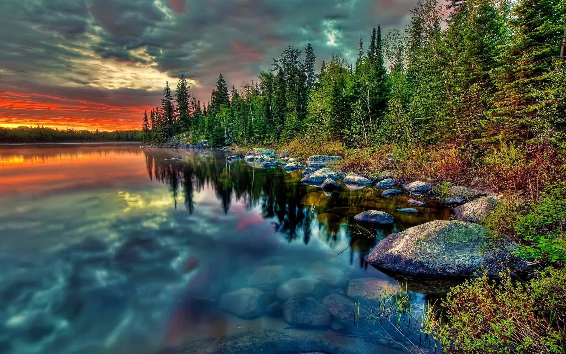 Pine Forest Lake Google Desktop Background