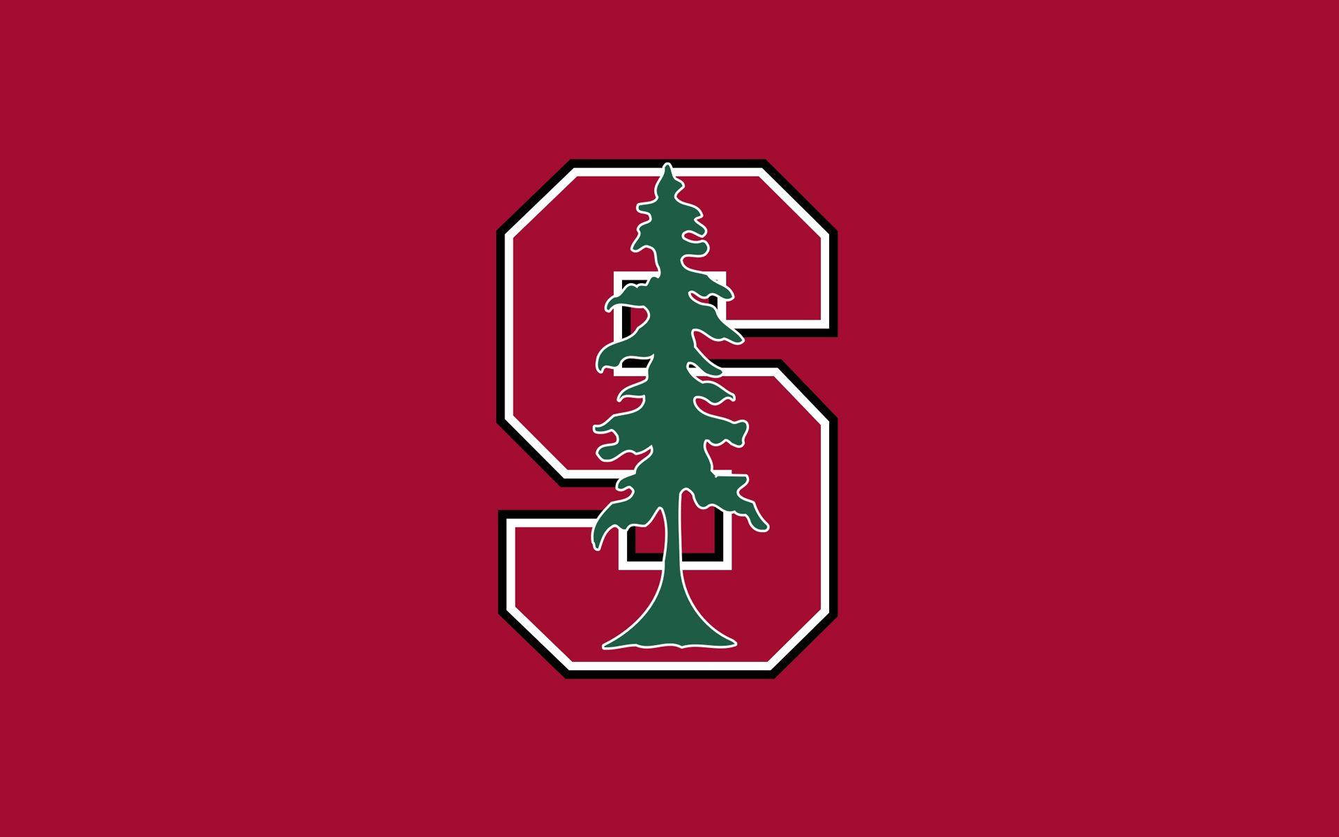 Pine Tree On Stanford University Logo