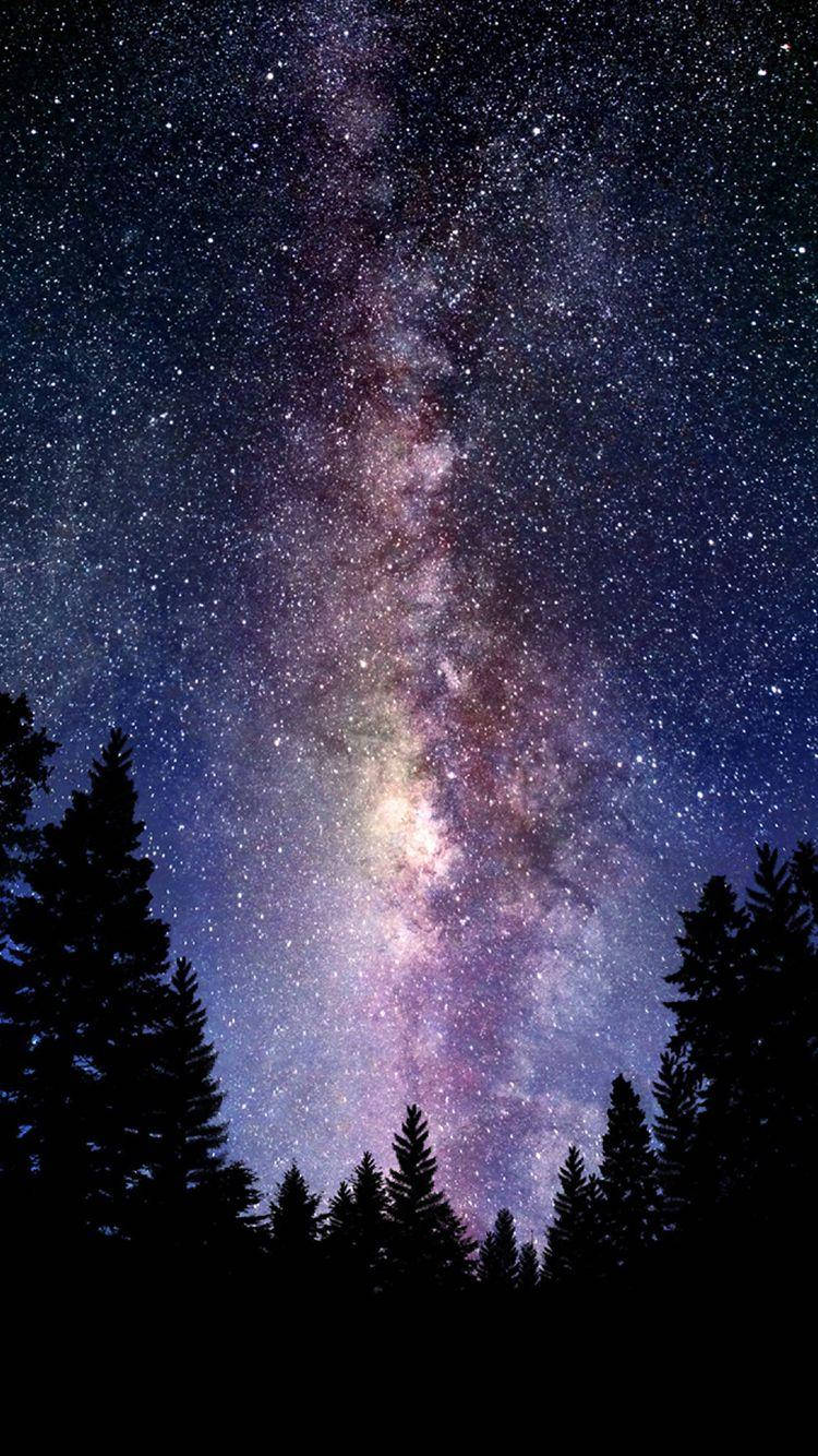 Pine Tree Silhouette On Starry Galaxy Iphone Background
