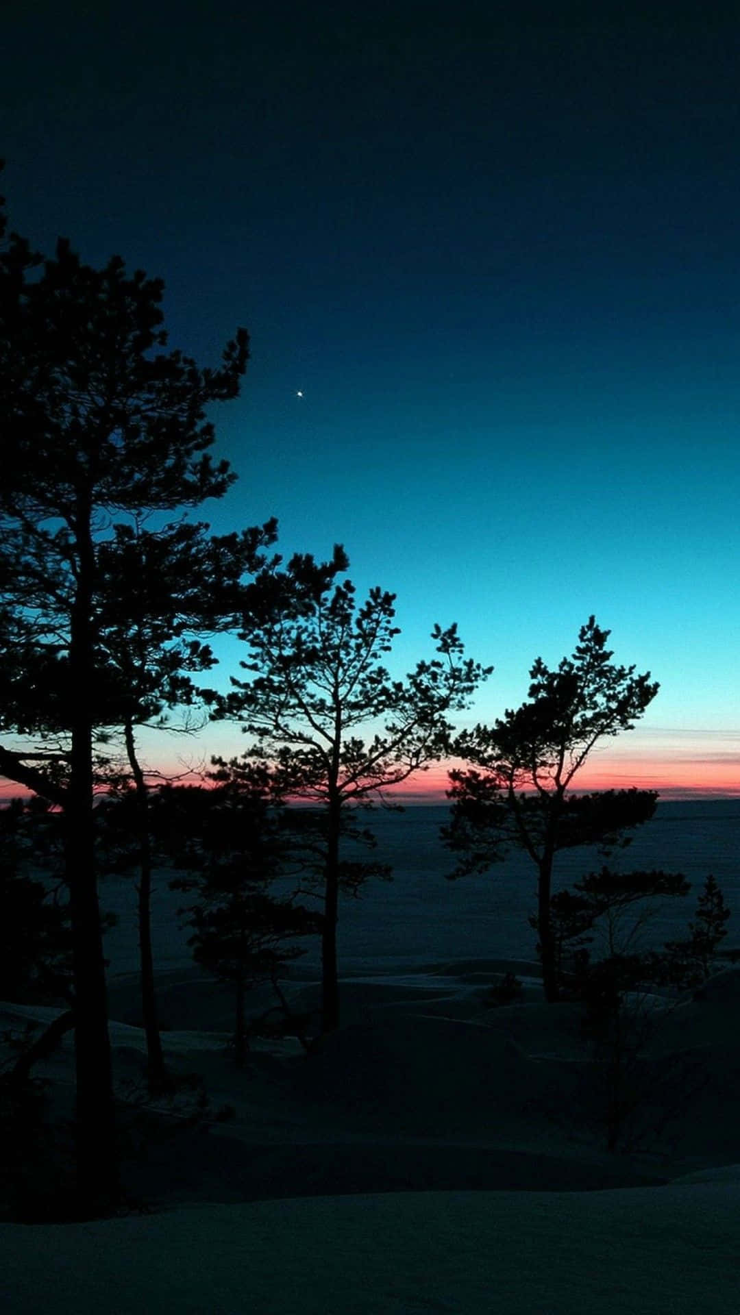 Pine Trees Silhouette Nature Android Hd Background