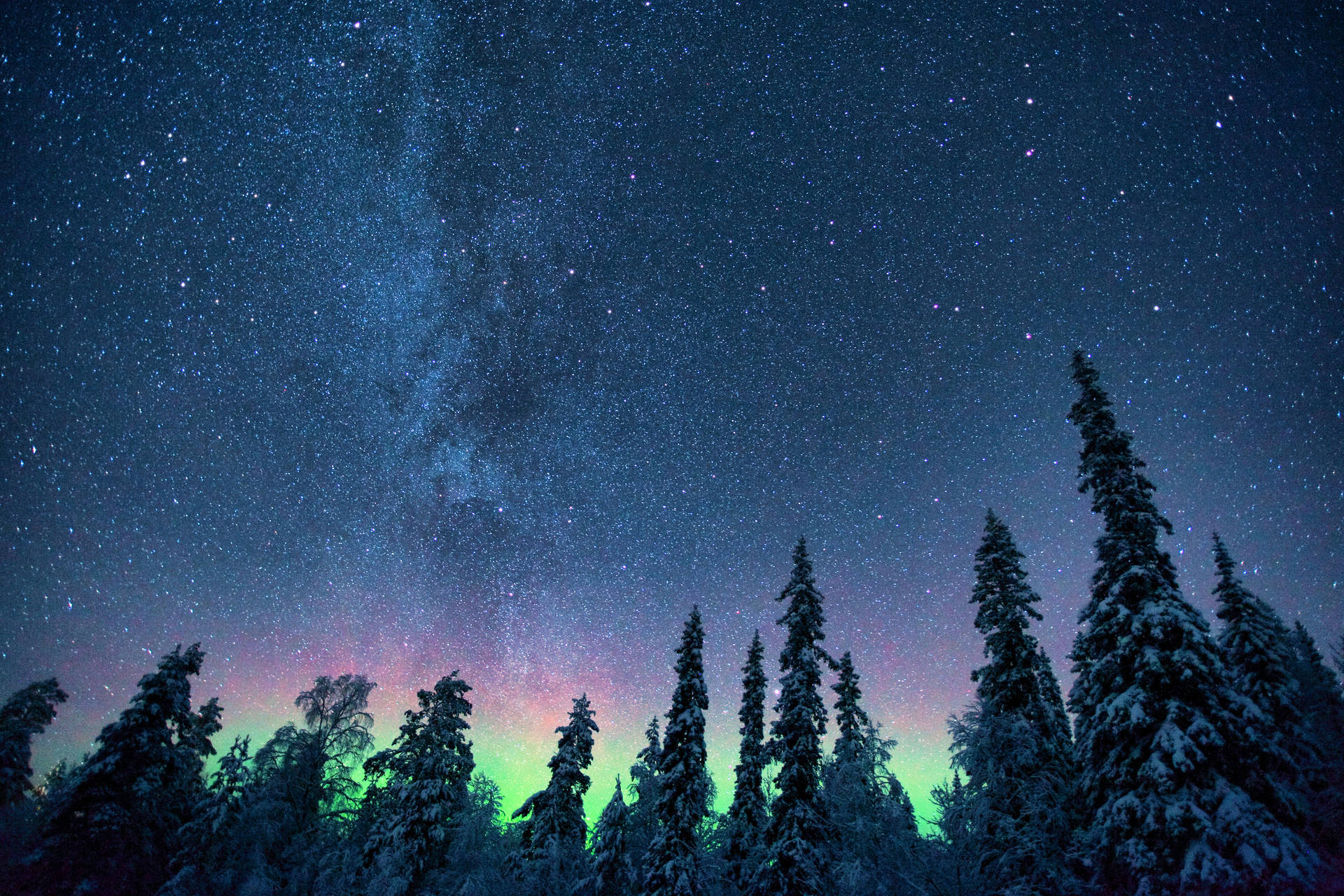 Pine Trees Starry Night Northern Lights Background