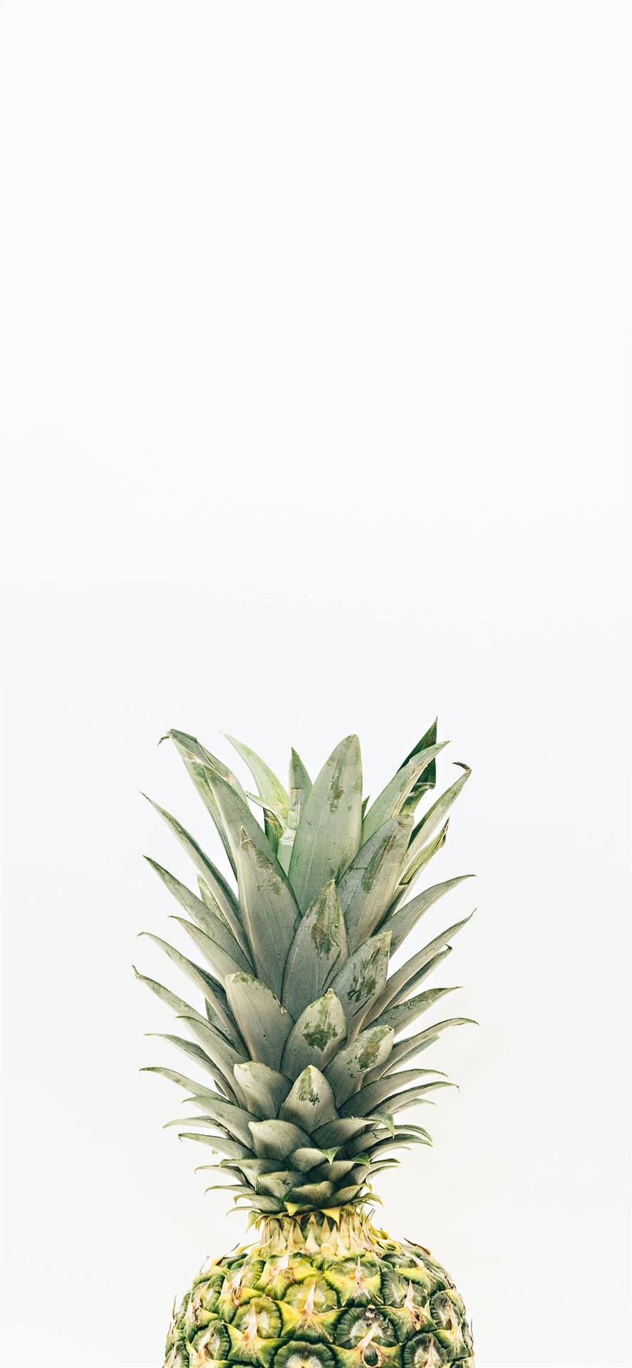 Pineapple Iphone 2021 Background