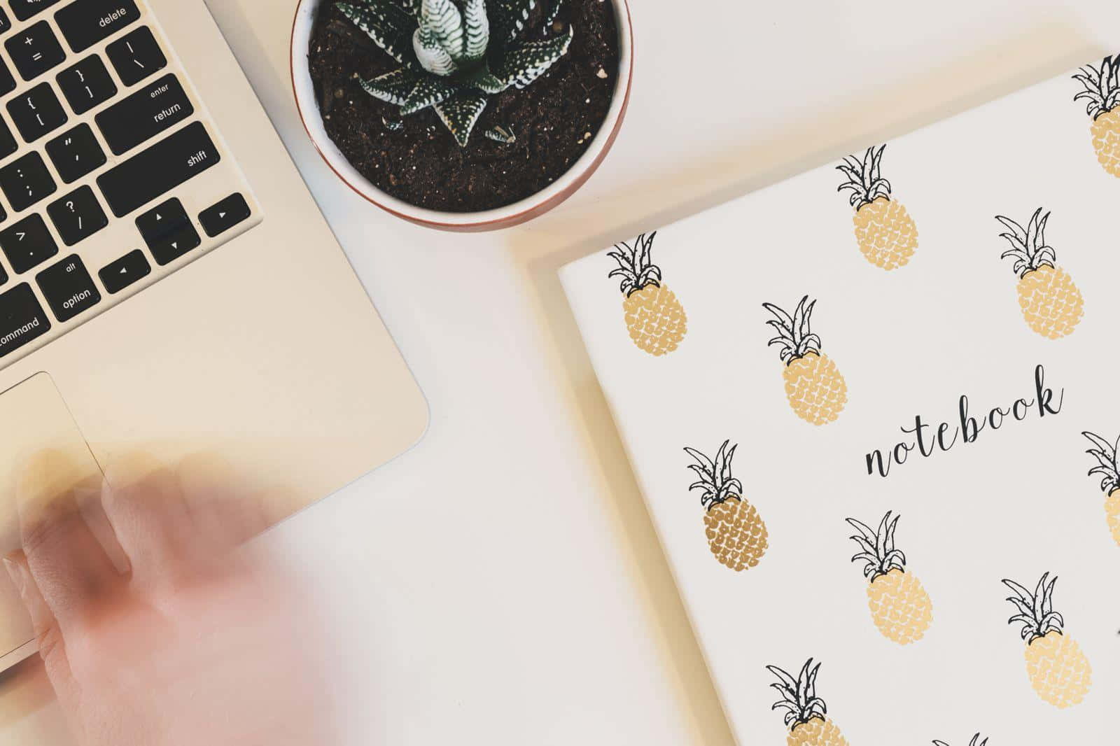 Pineapple Notebookand Laptop Setup