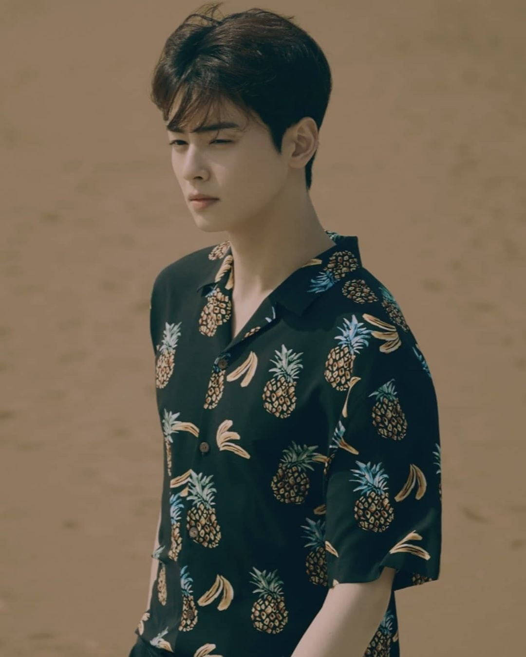 Pineapple Shirt Cha Eunwoo Background