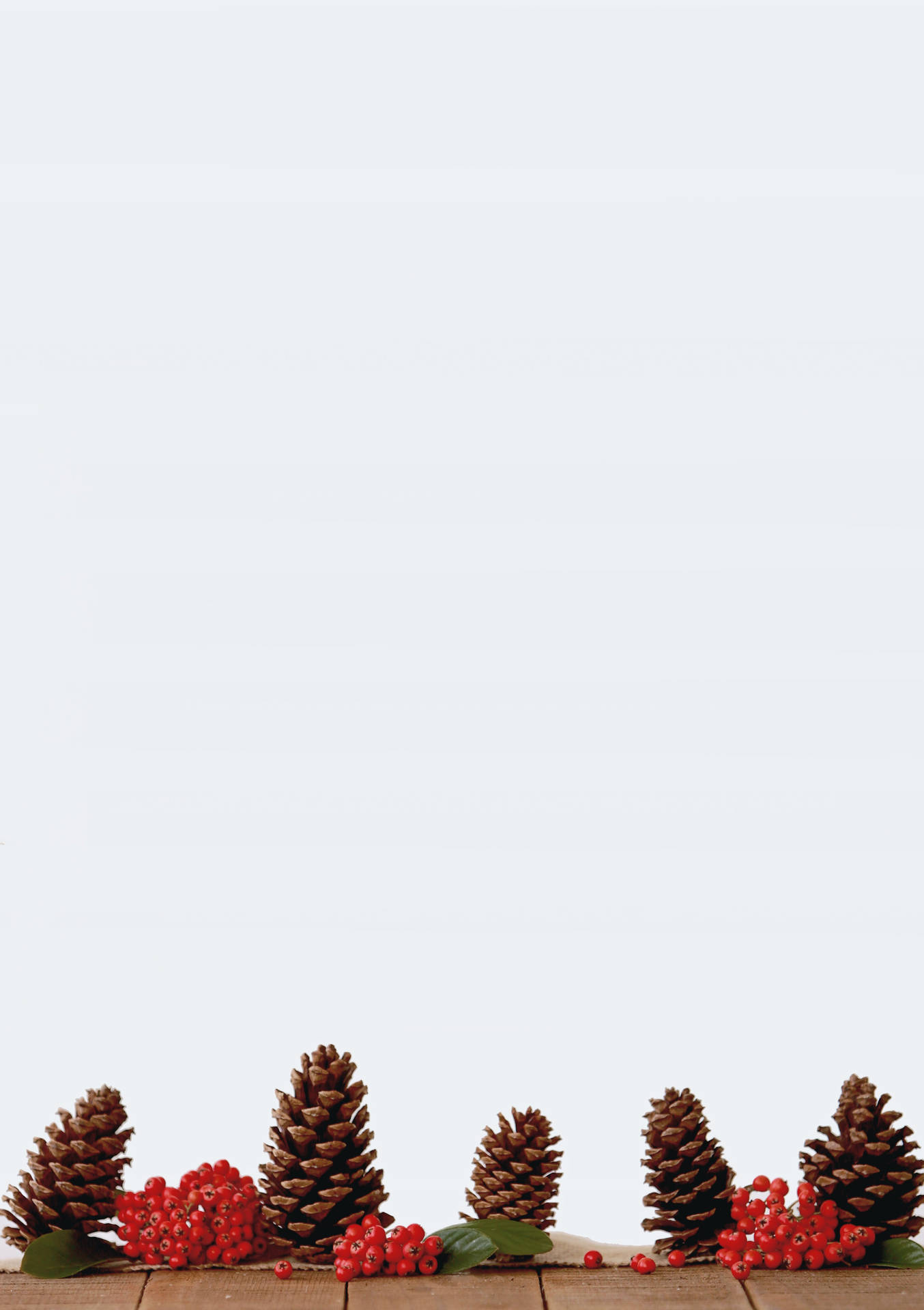 Pinecones On White Background Background