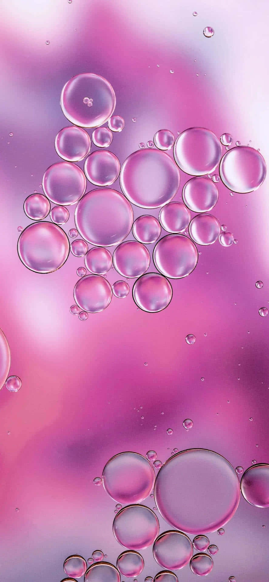 Pink Aesthetic Bubbles Background Background