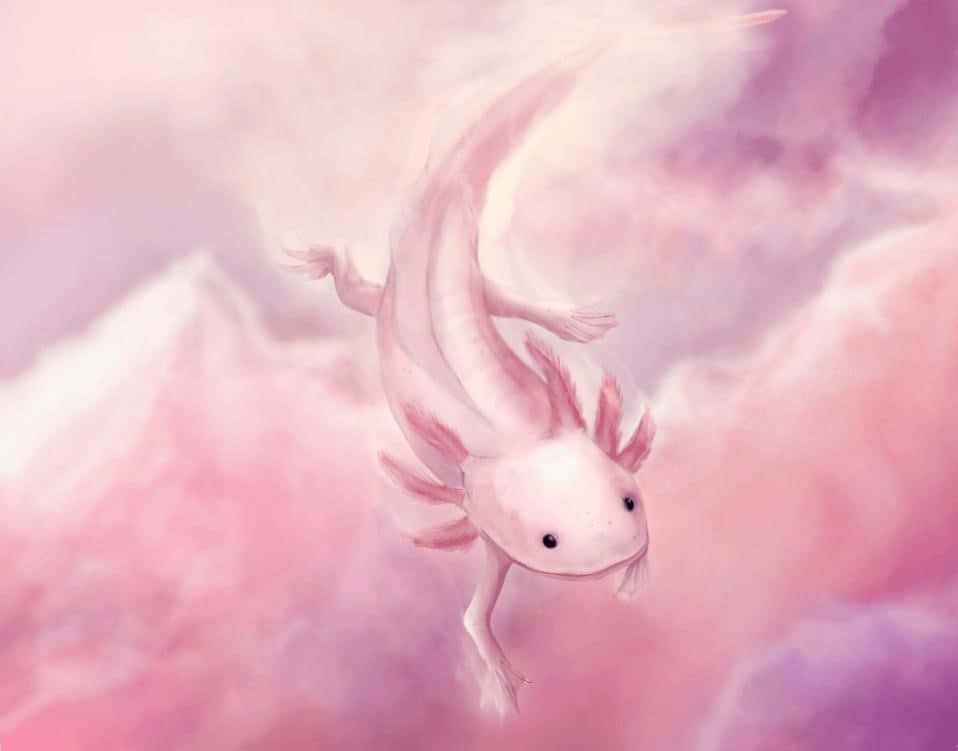 Pink Aesthetic Cute Axolotl Digital Painting Background