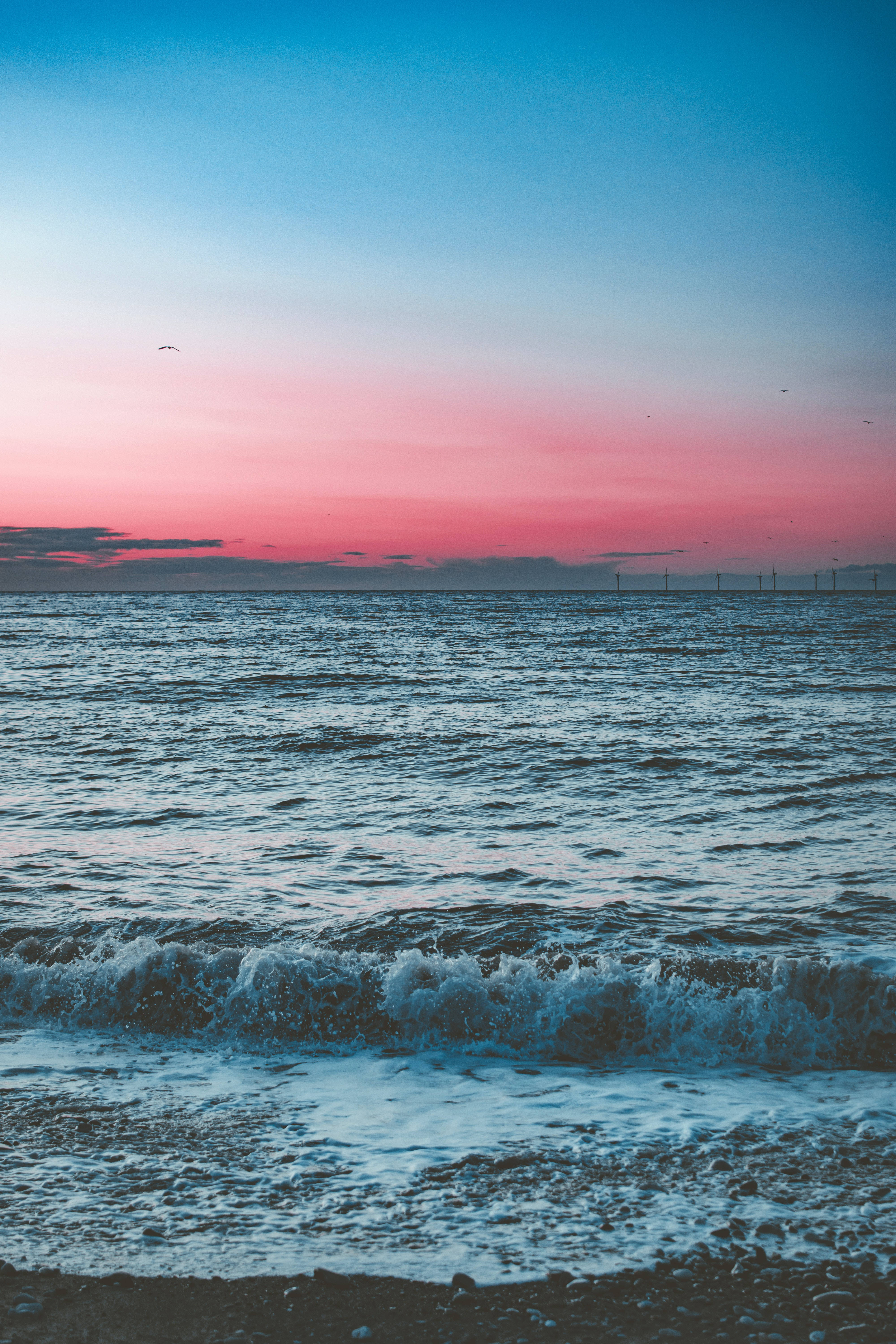 Pink And Blue Beach Android Background