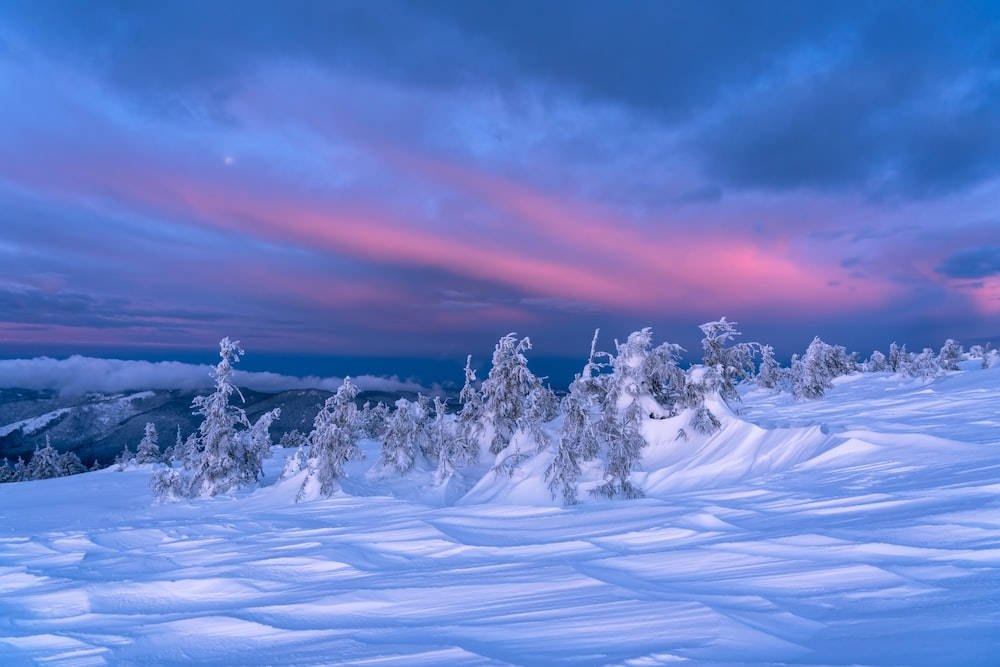 Pink And Blue Sky Winter Scenery Background