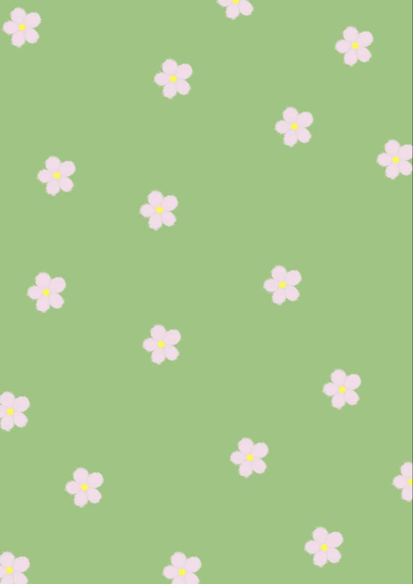 Pink And Green Aesthetic Minimalist Flower Pattern Background