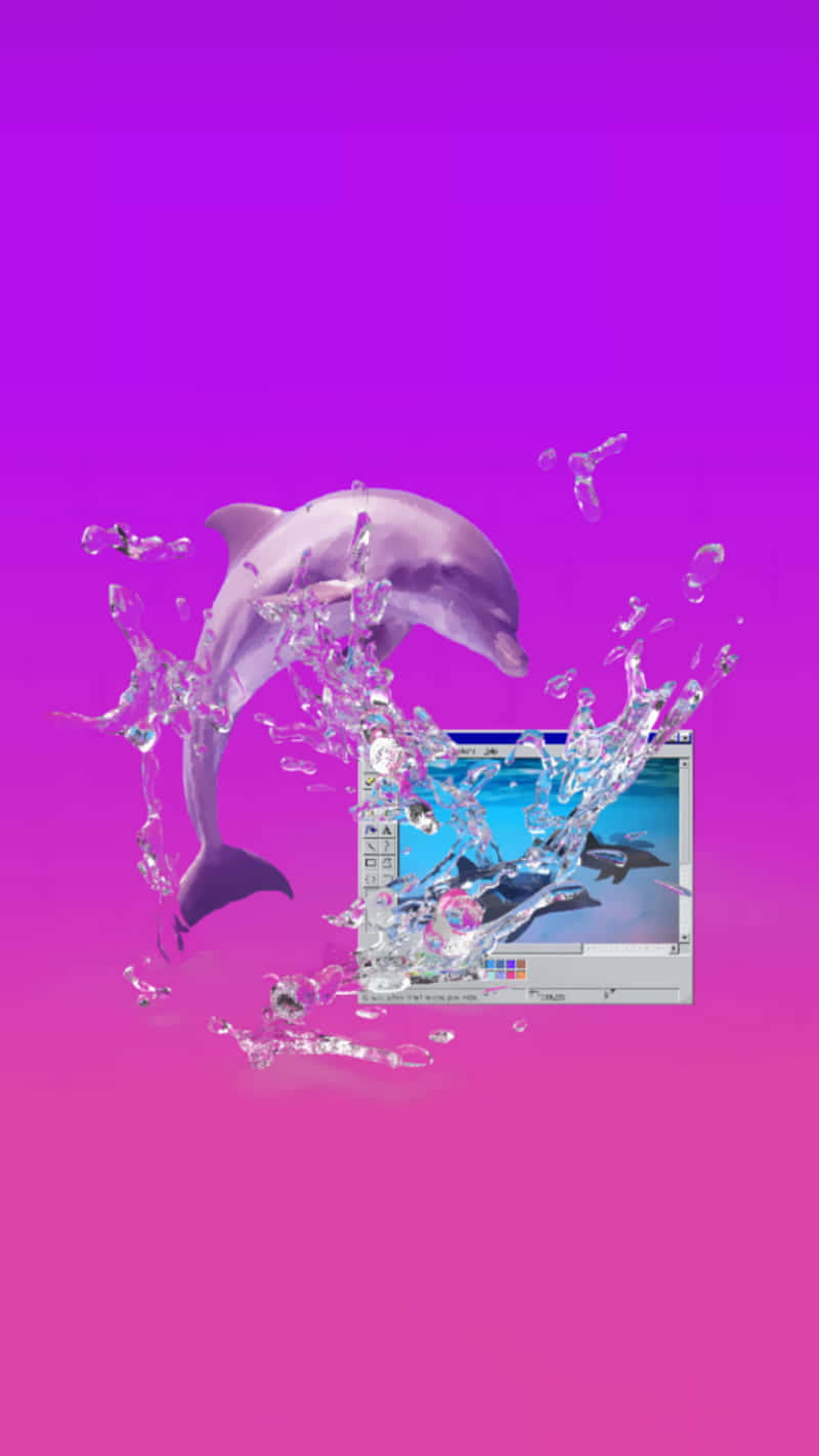 Pink And Pose: A Pink Dolphin Swimming In The Ocean. Background