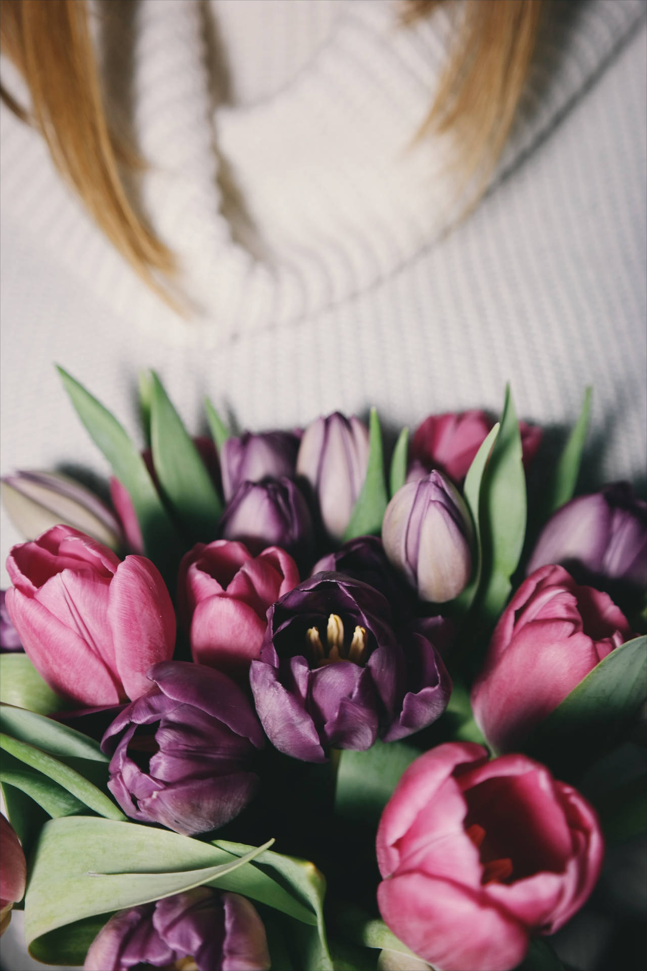 Pink And Purple Tulips Flower Bouquet Background