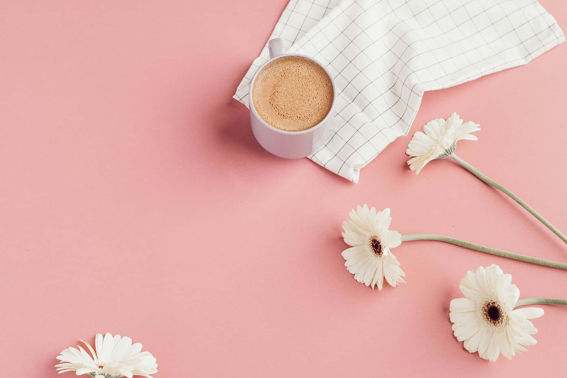 Pink And White Aesthetic Daisy Flowers And Coffee Background