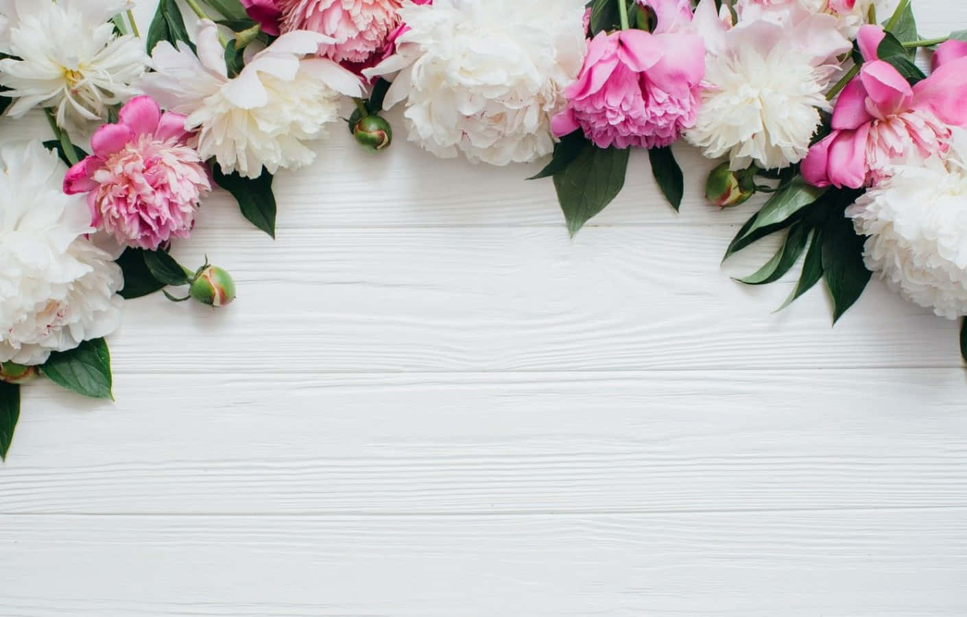 Pink And White Aesthetic Flowers Background