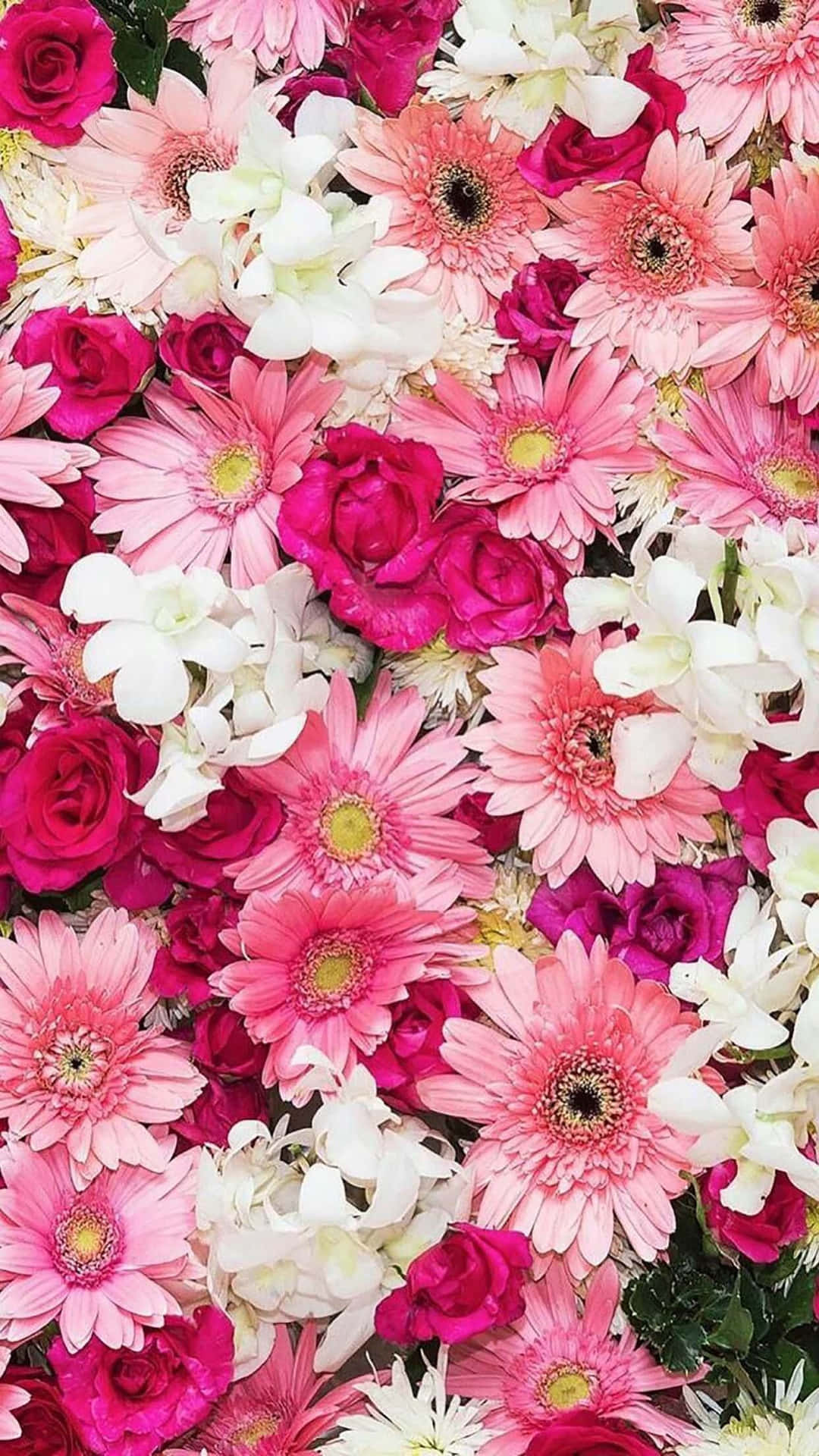 Pink And White Flowers Are Arranged In A Bouquet